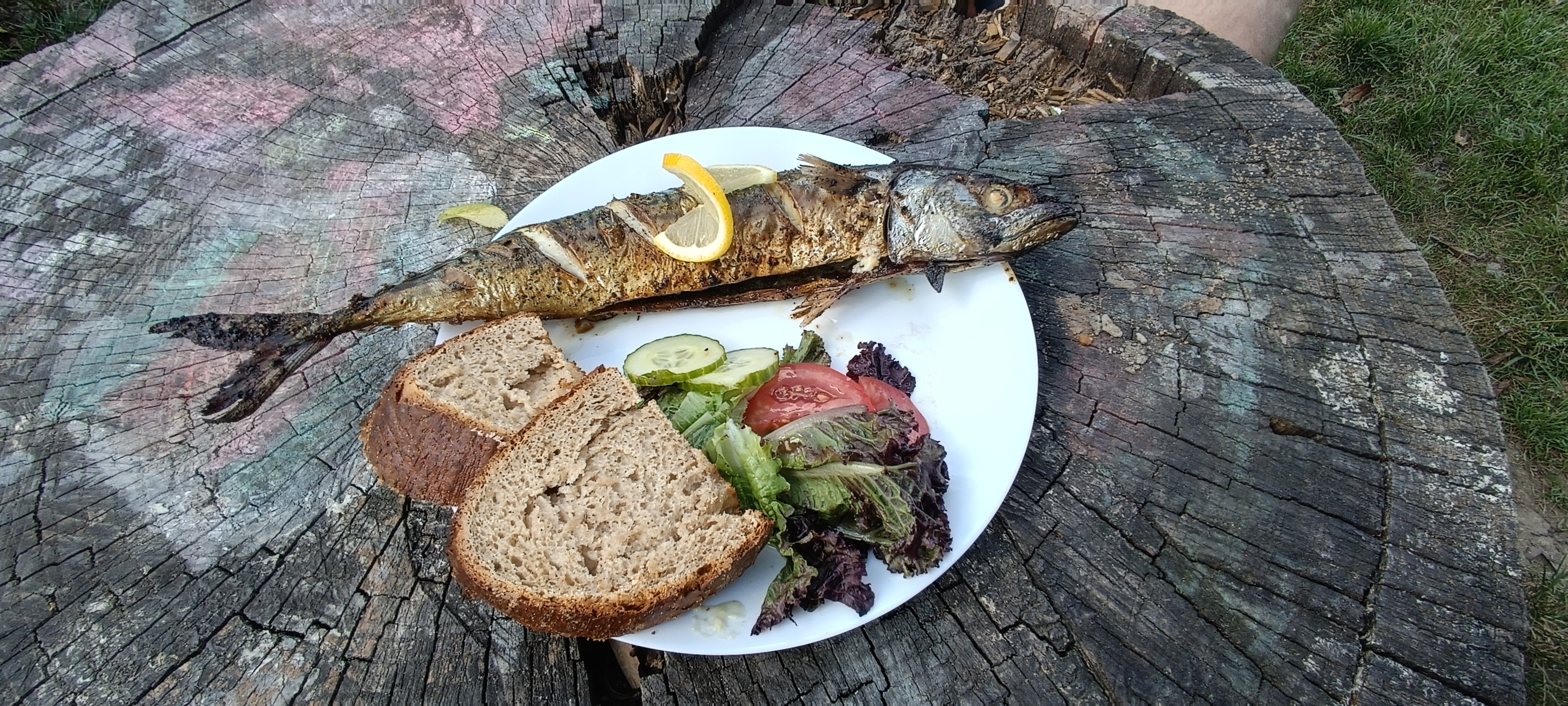 Hospohoda pod Skálou foto 5