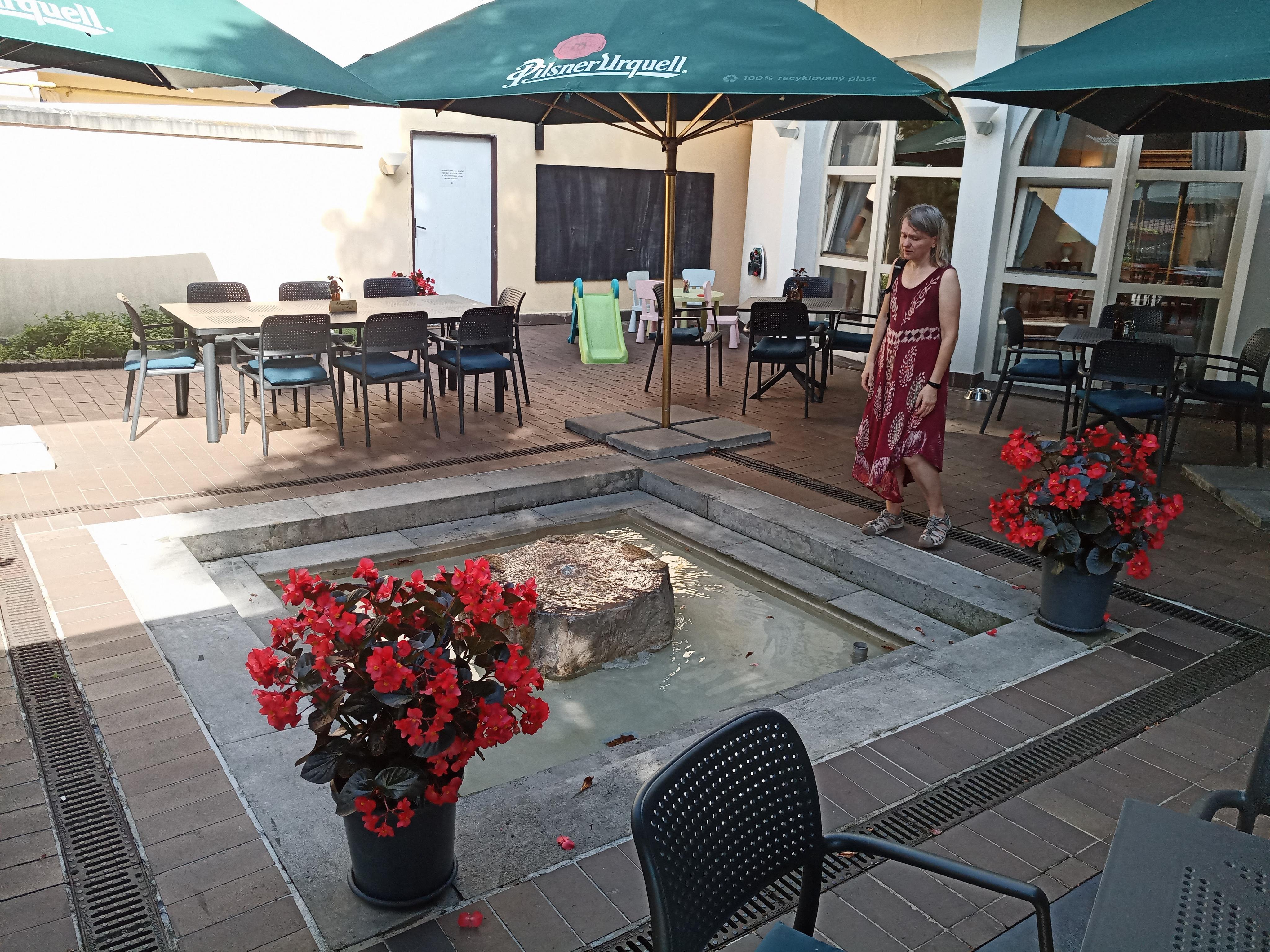 Restaurant Havel foto 6