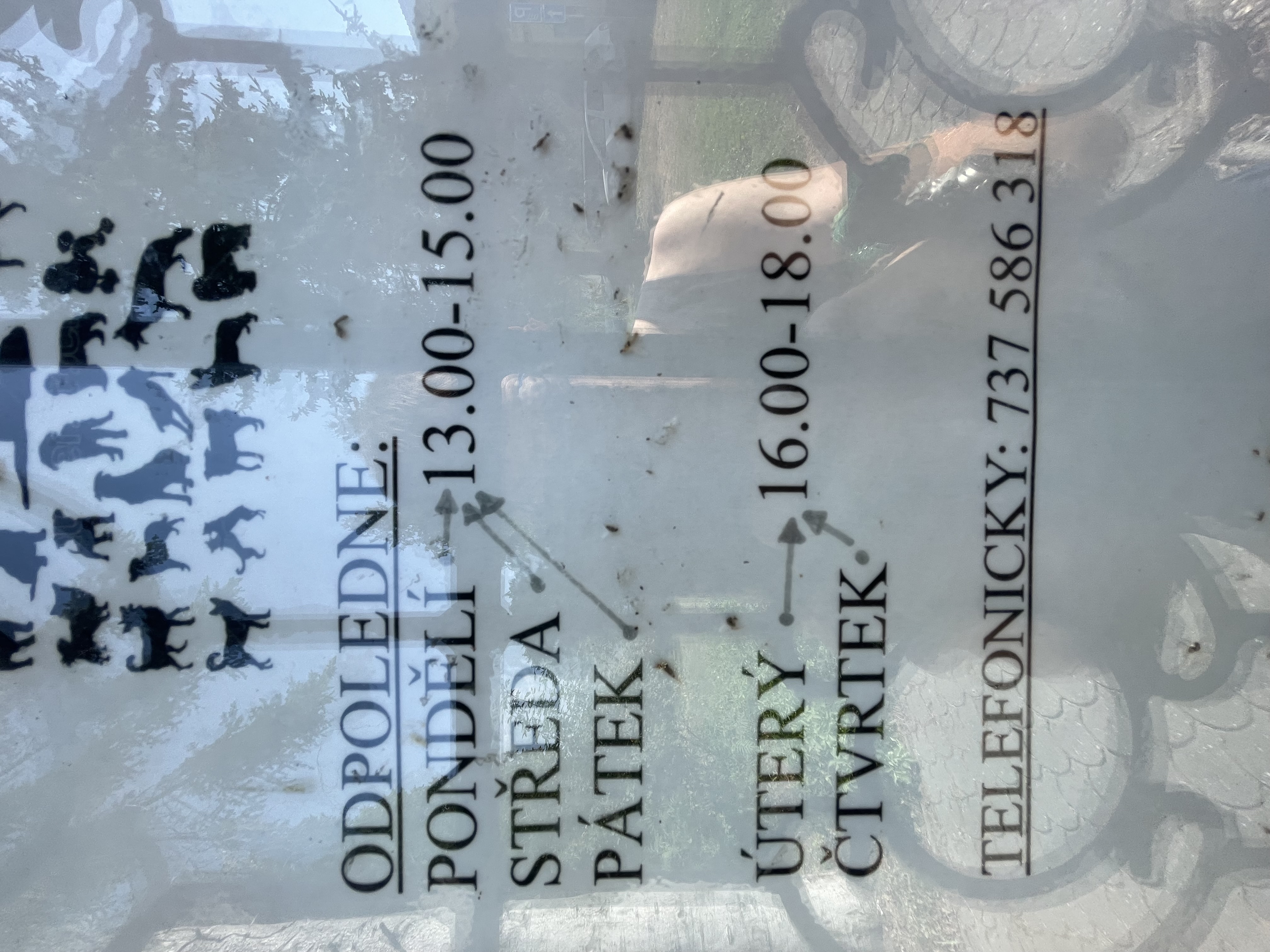 Veterinární ordinace - MVDr. Jiří Költö foto 2