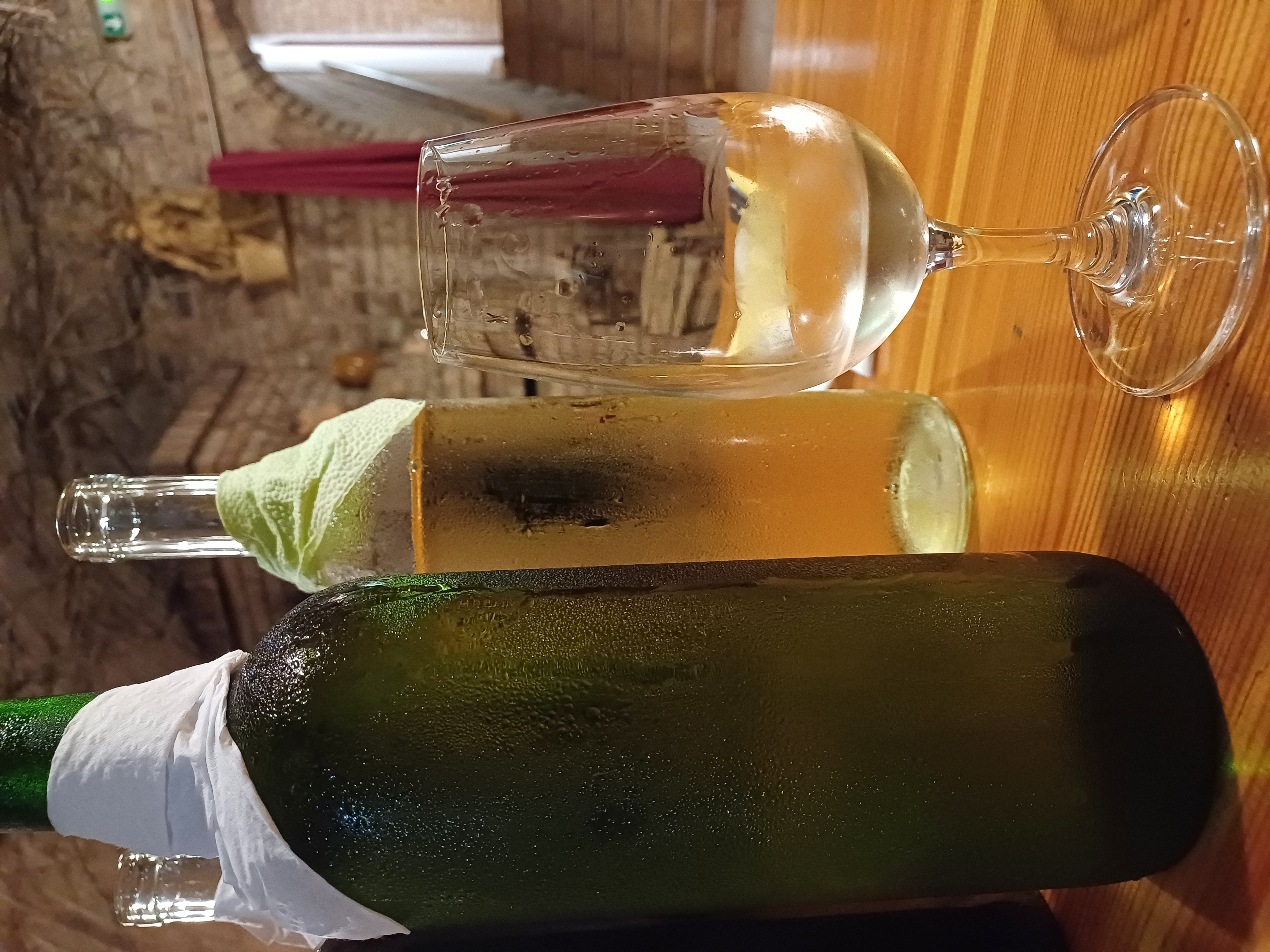 Vinné sklepy U Jeňoura a hotel Beatrice foto 6