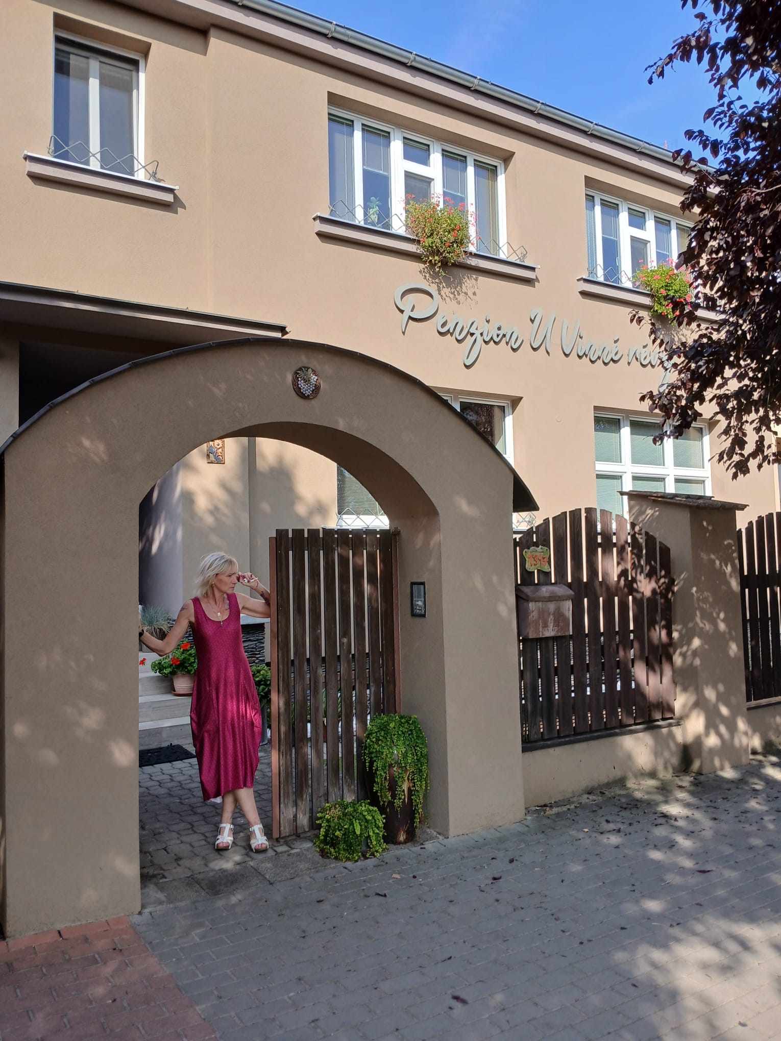 Penzion U Vinné révy foto 3