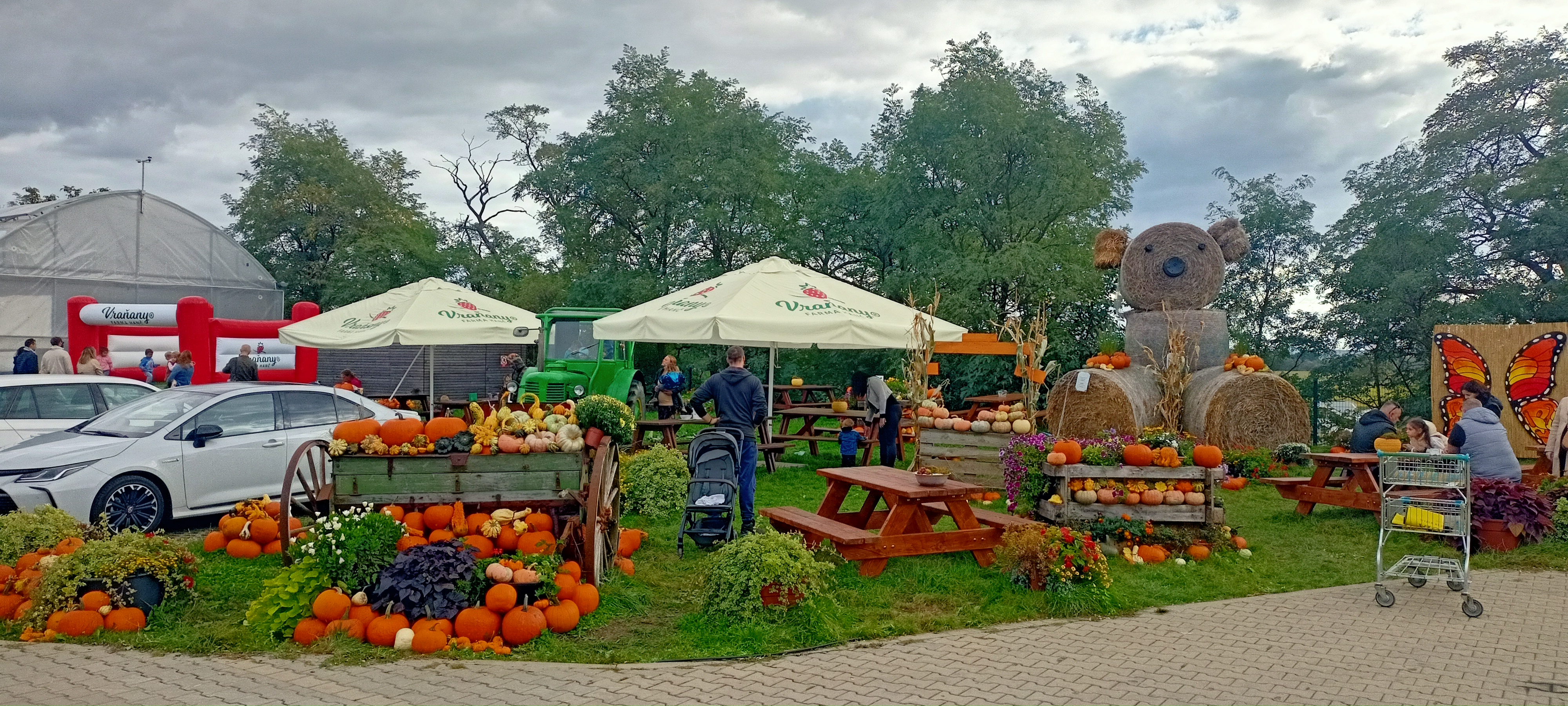 Zahradnictví Farma Hanč foto 2