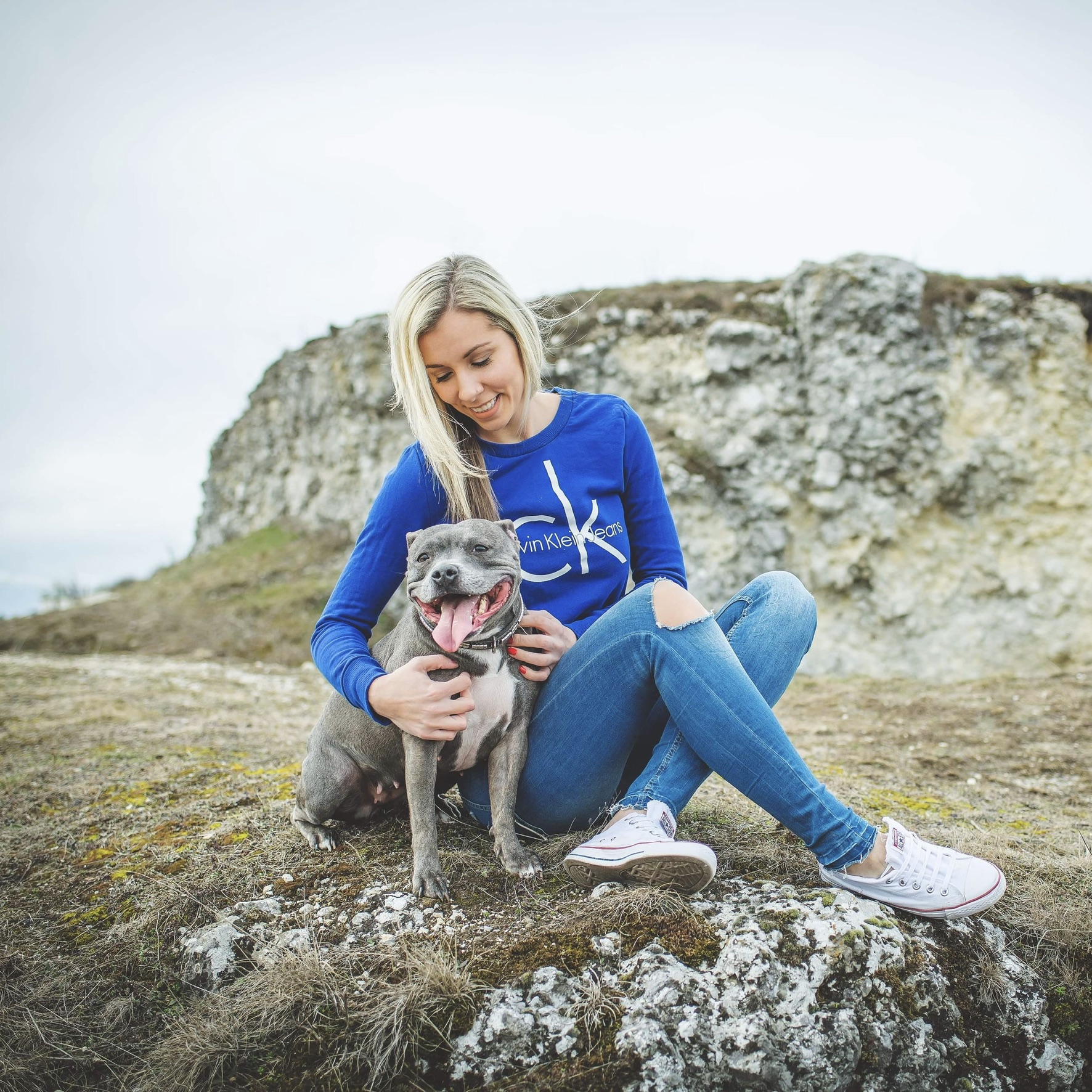 Veterinář domů Brno +VET plusvet.cz foto 6