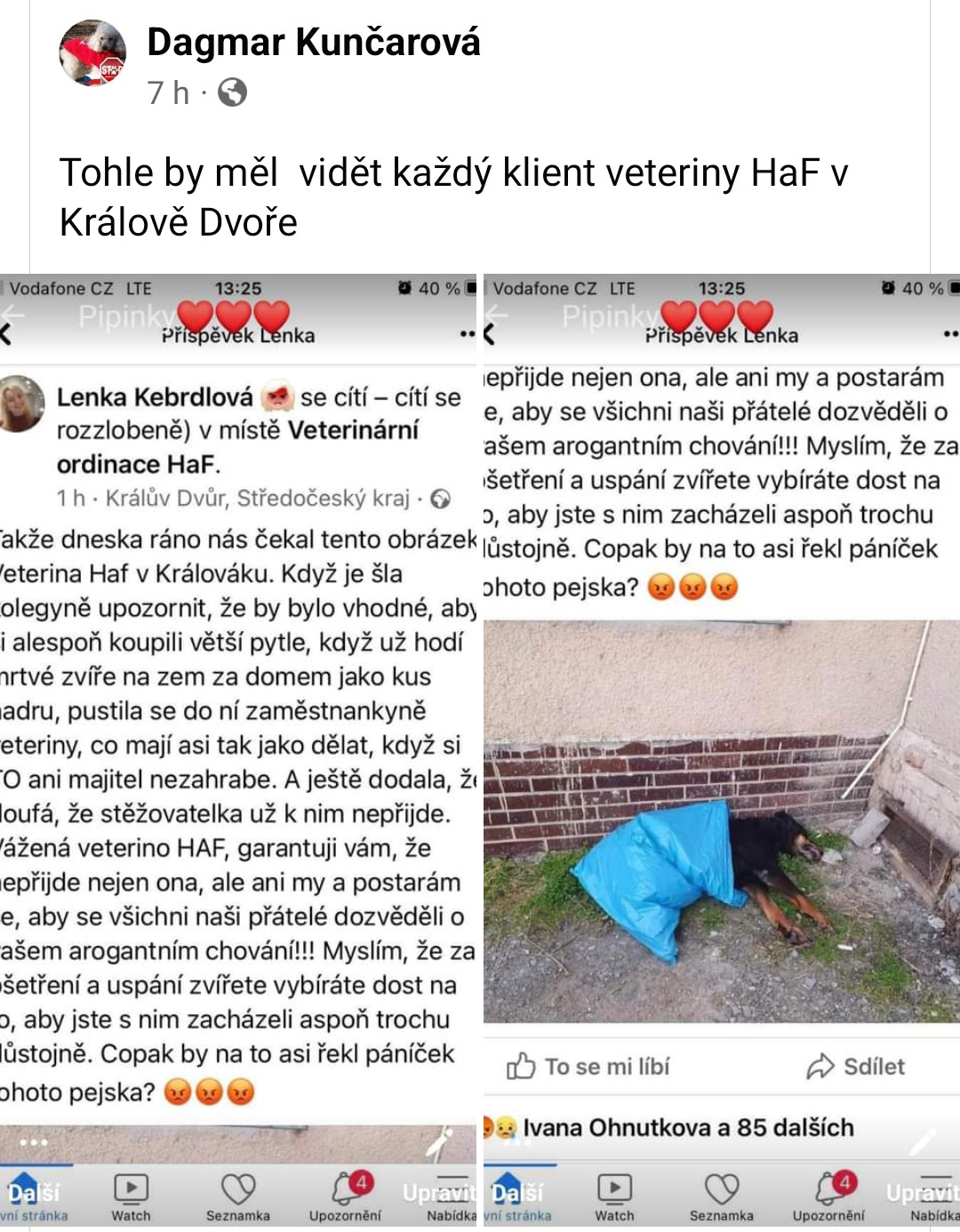 Veterinární ordinace HaF foto 2