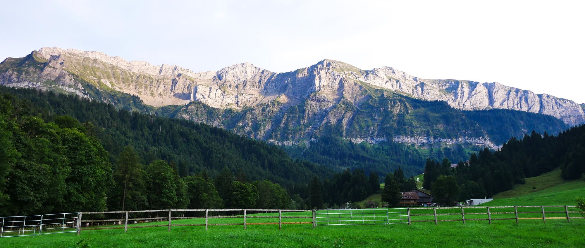 Nazwa "emmentaler" określa rodzaj sera, więc nie może być zarejestrowana jako znak towarowy