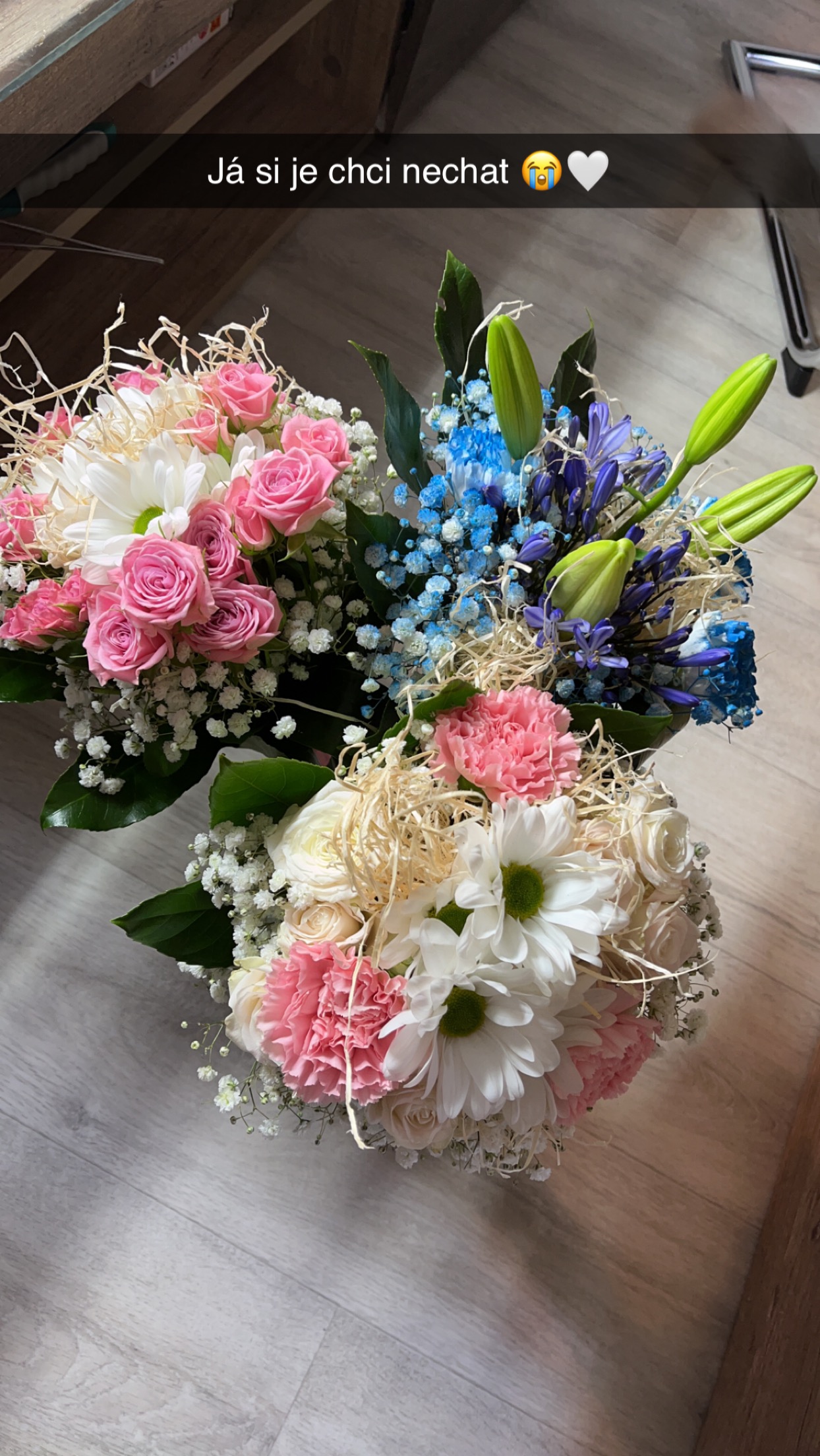 Květinka Sandra foto 2