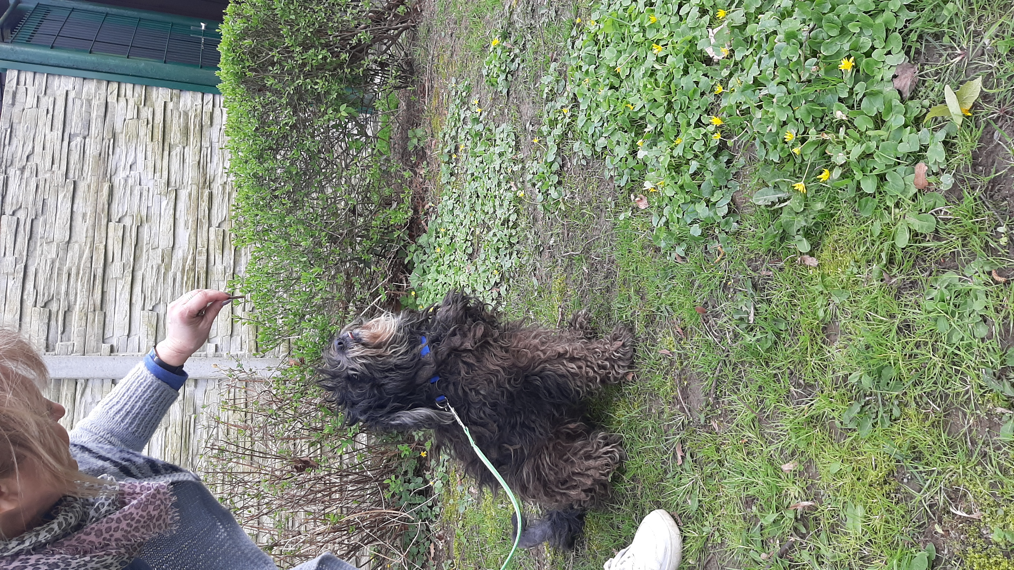 Útulek pro psy Orlová foto 3