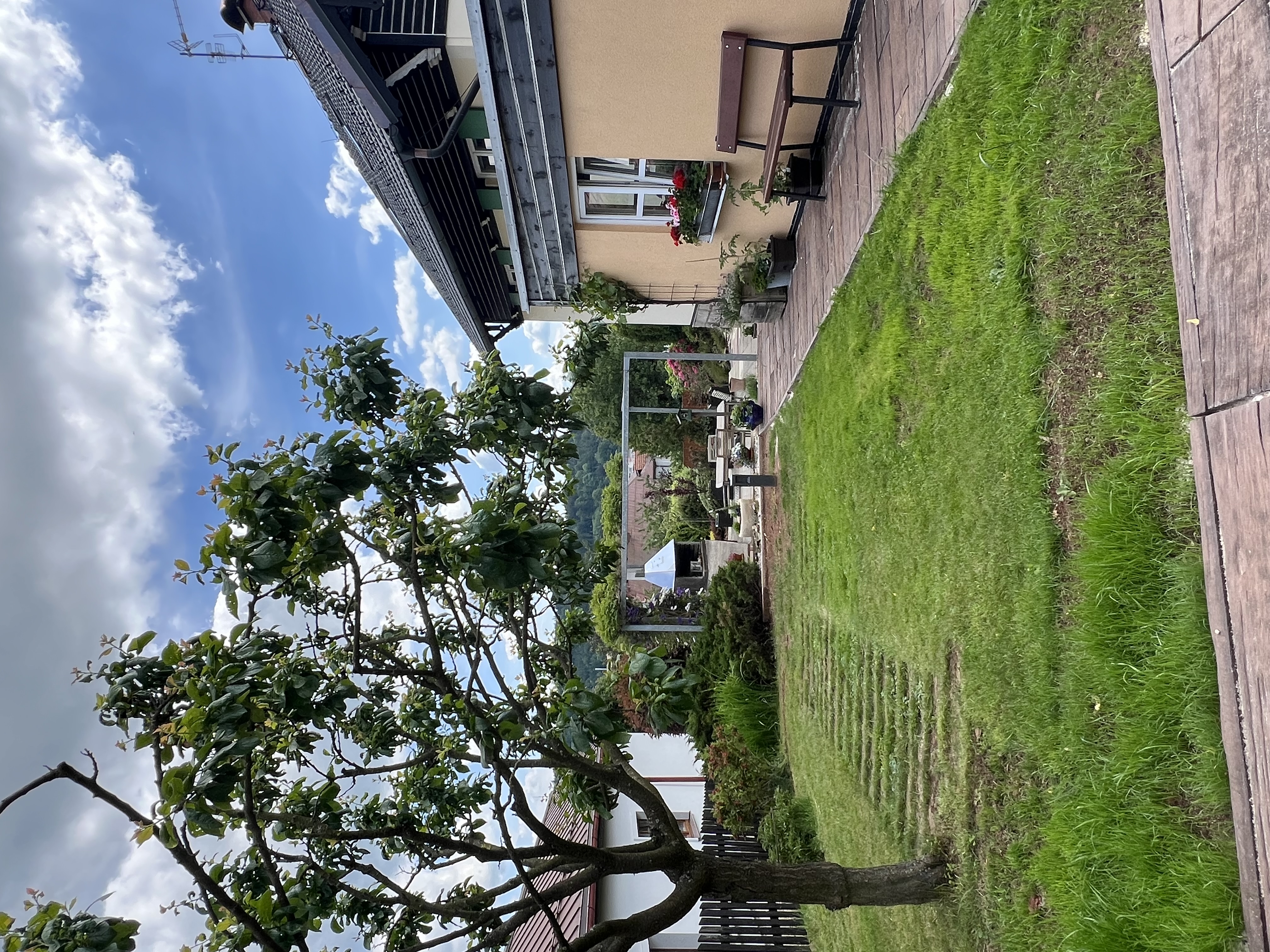 Údržba zahrad David Vlasák foto 1