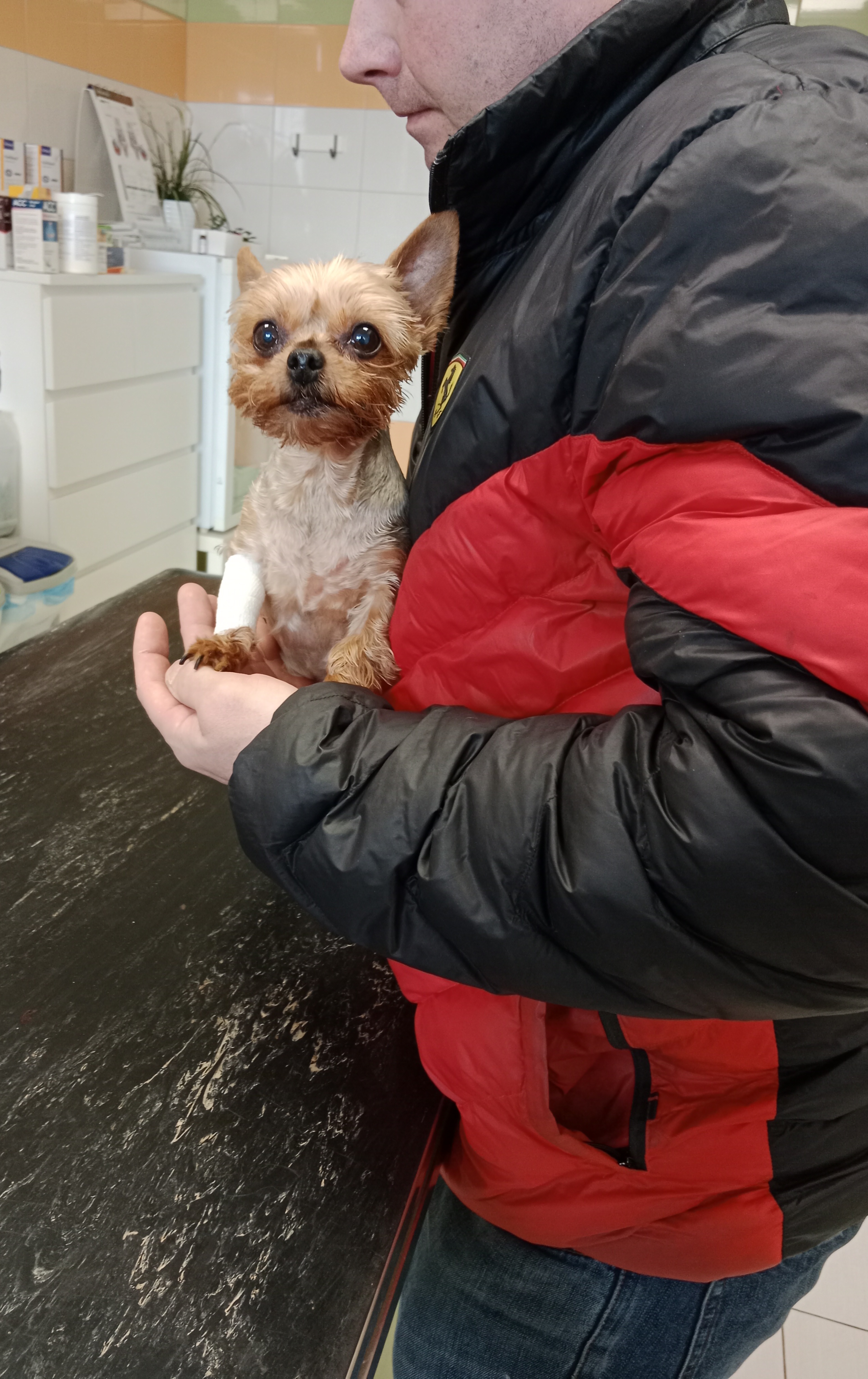 Veterinární klinika Krmelín foto 2