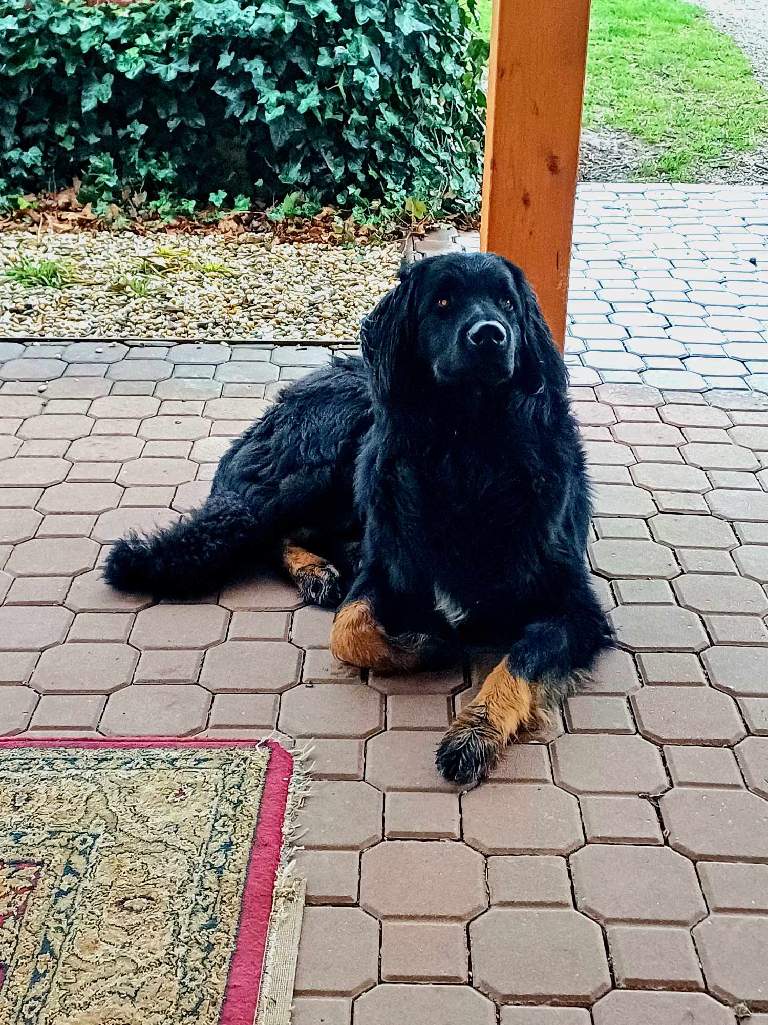 Veterina v podhradí foto 2