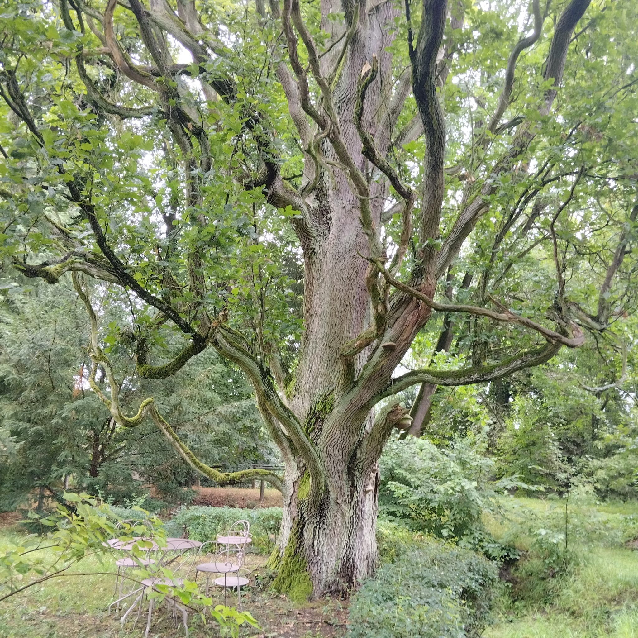 Památník J. A. Komenského foto 4