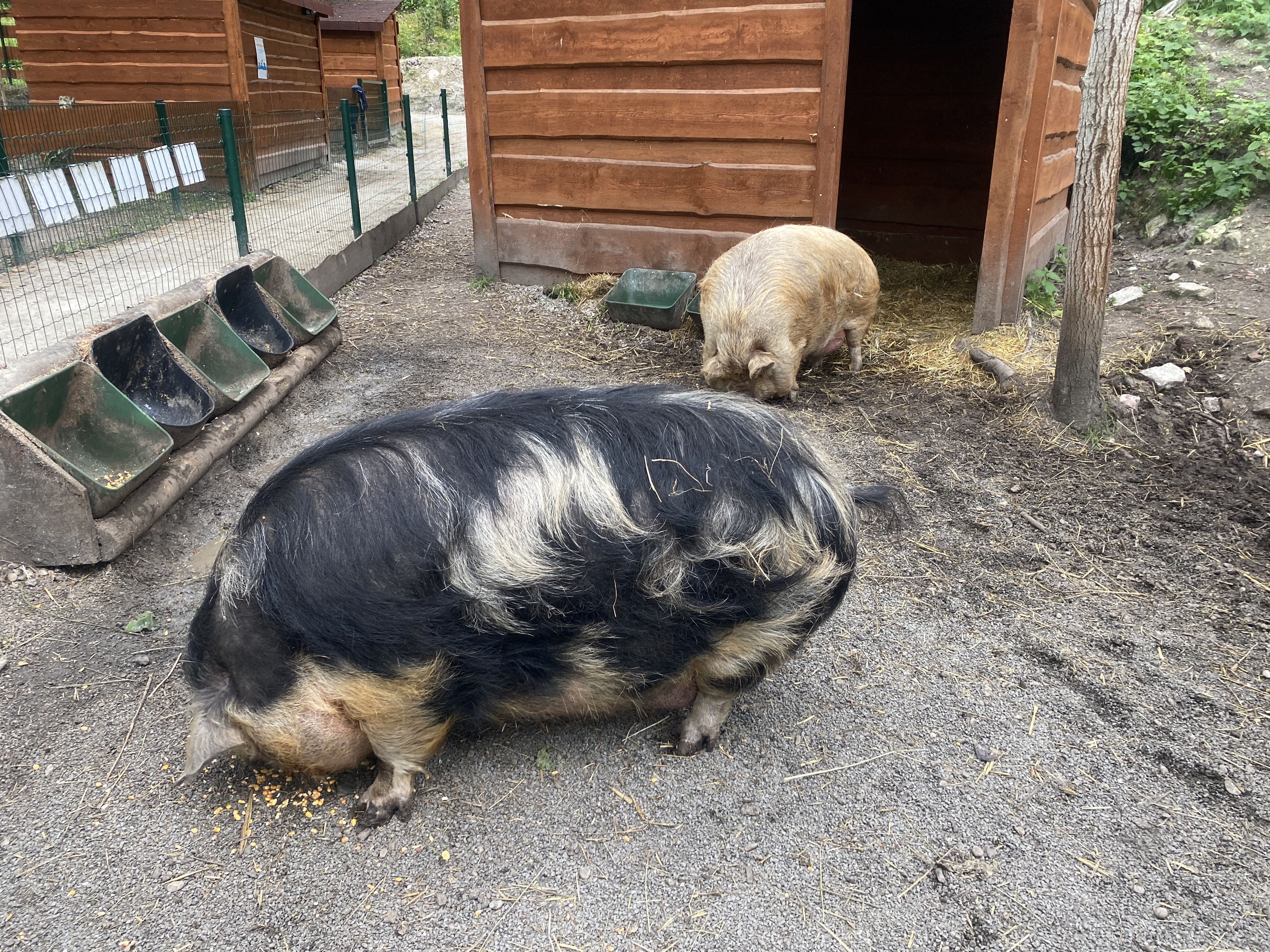 Farmaparkutoma.cz foto 5