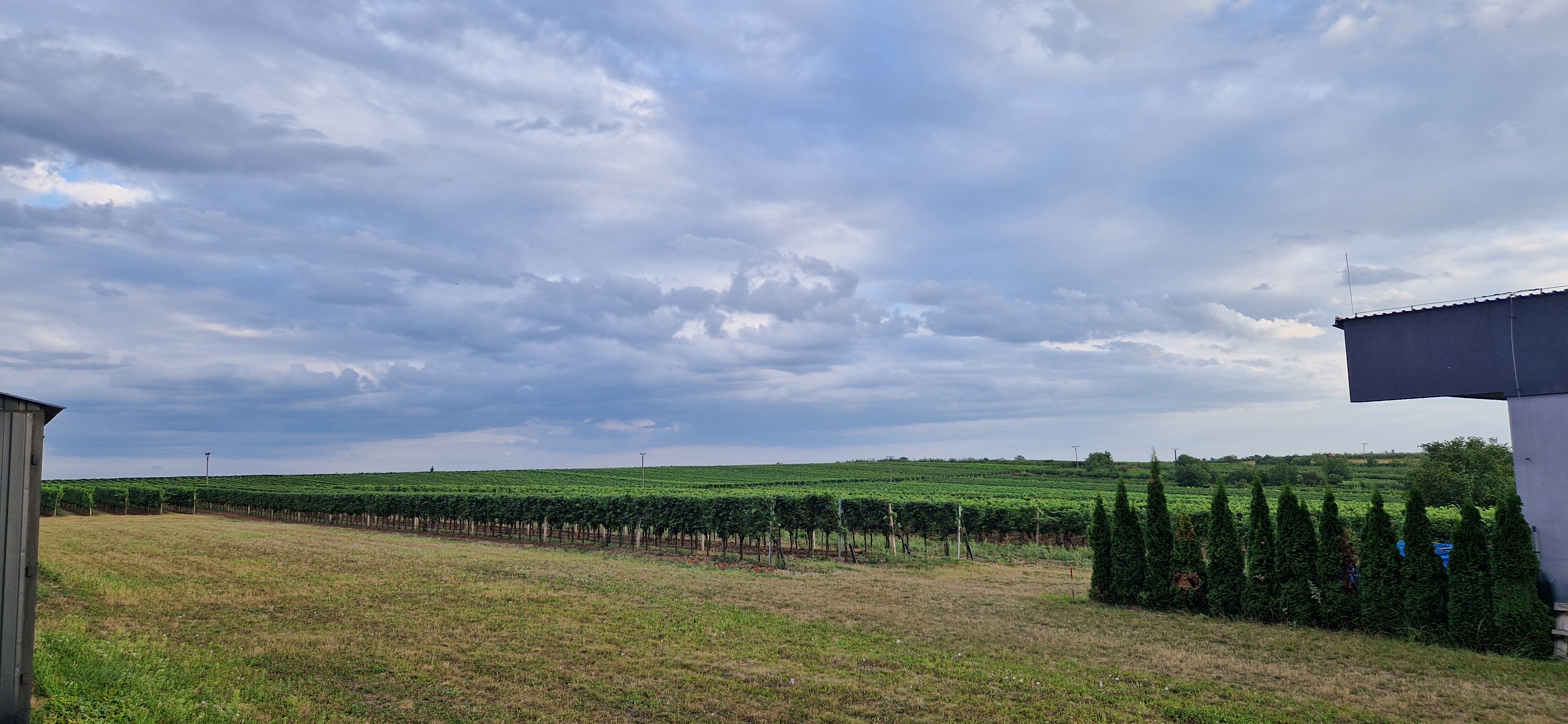 Vinařství Vladimír Tetur - ubytování foto 3