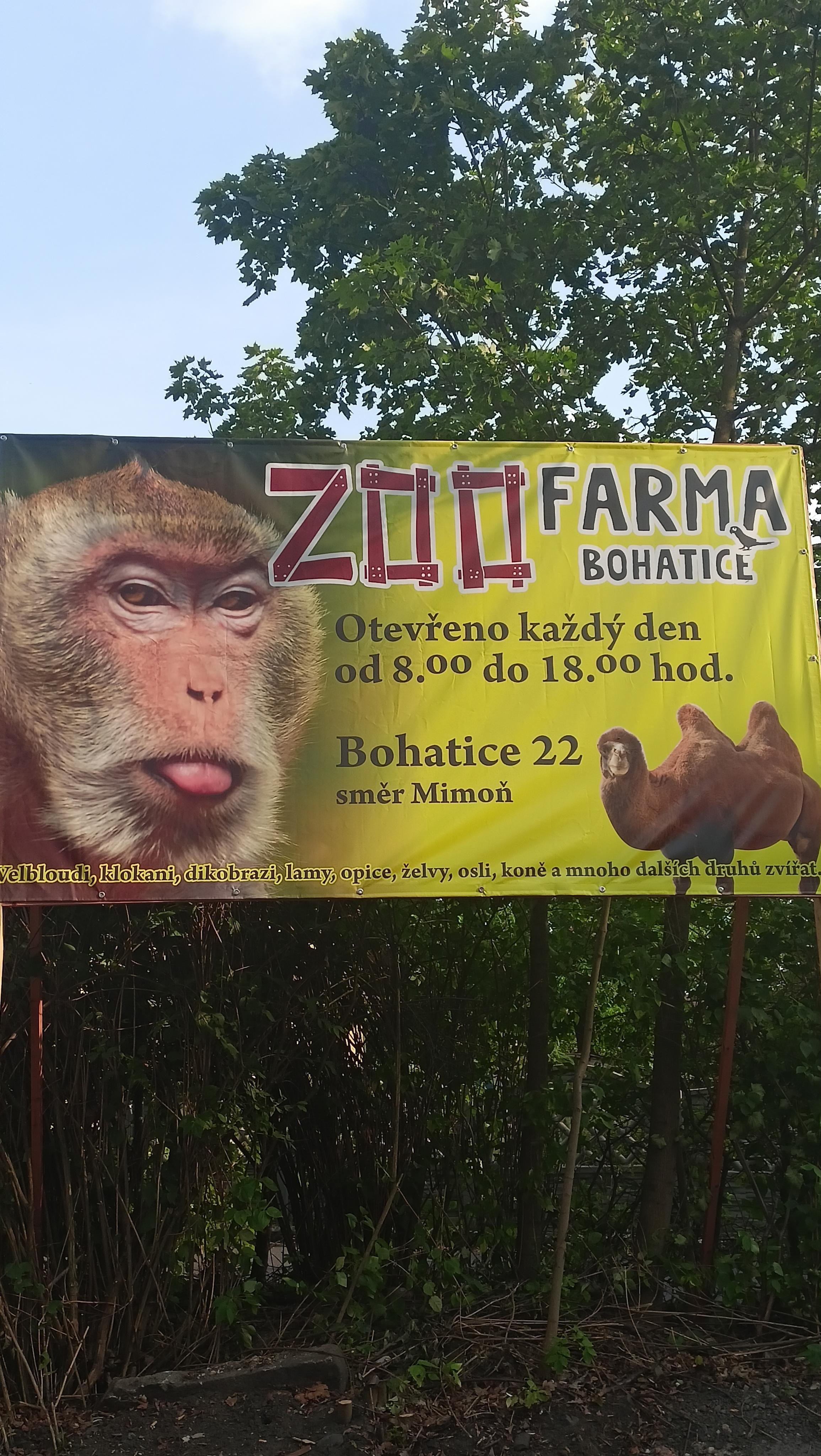 Točená zmrzlina Lada foto 1