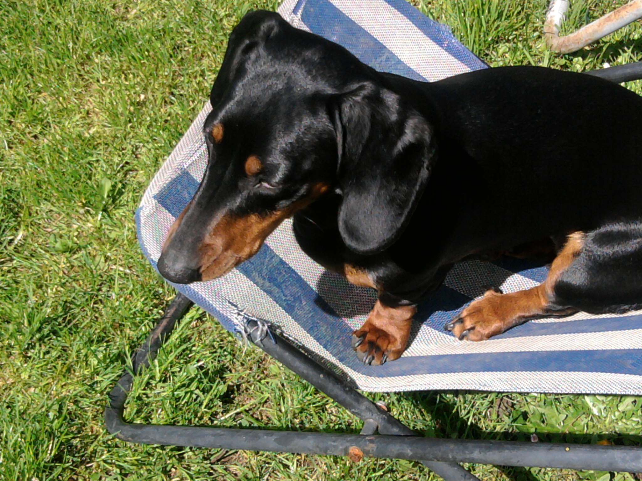 MVDr. Luděk Uzel foto 2