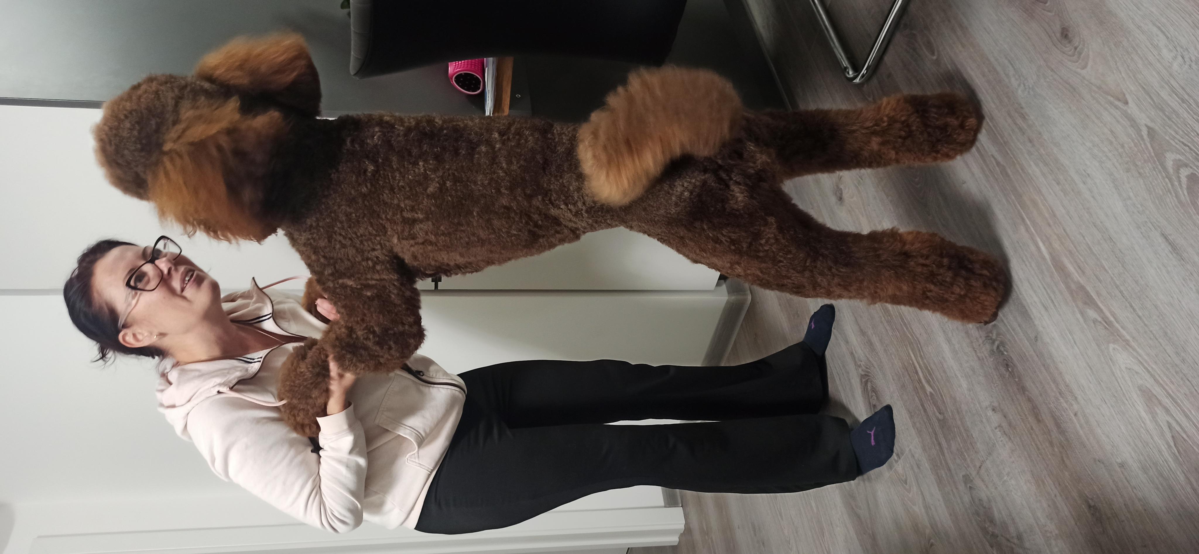 Psí Salon Jessie foto 6