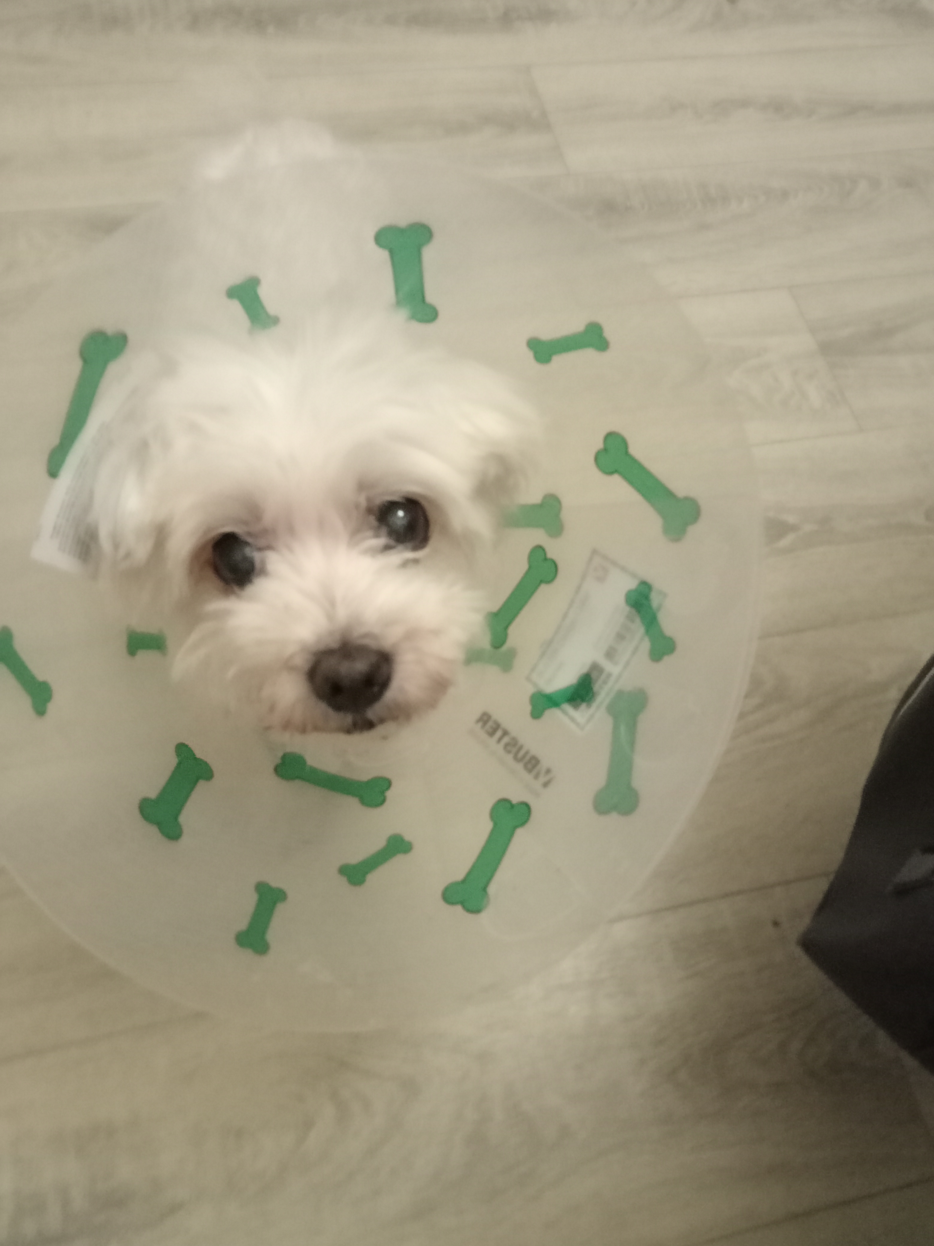 Veterinární klinika LIFE, s.r.o. foto 6