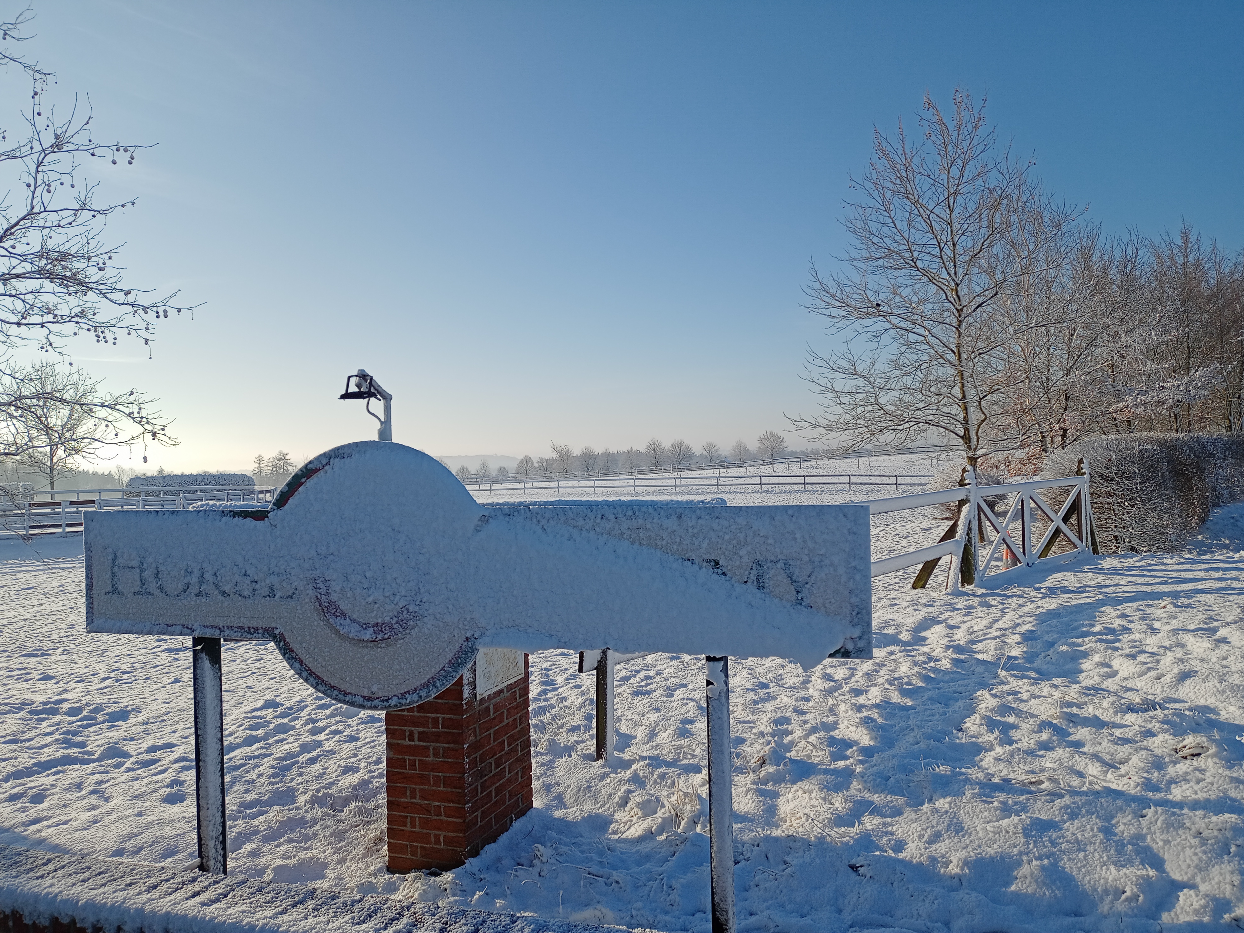 Horse Academy foto 3