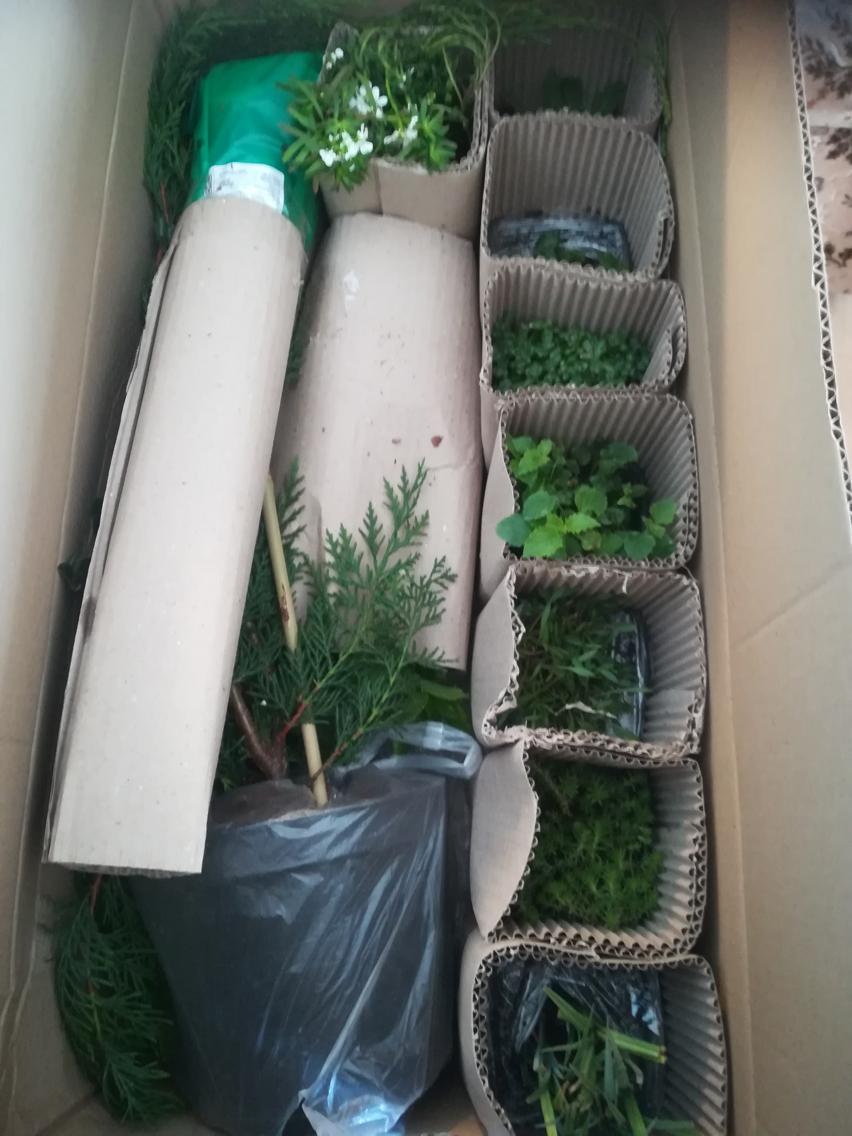 Lumigreen.cz foto 4