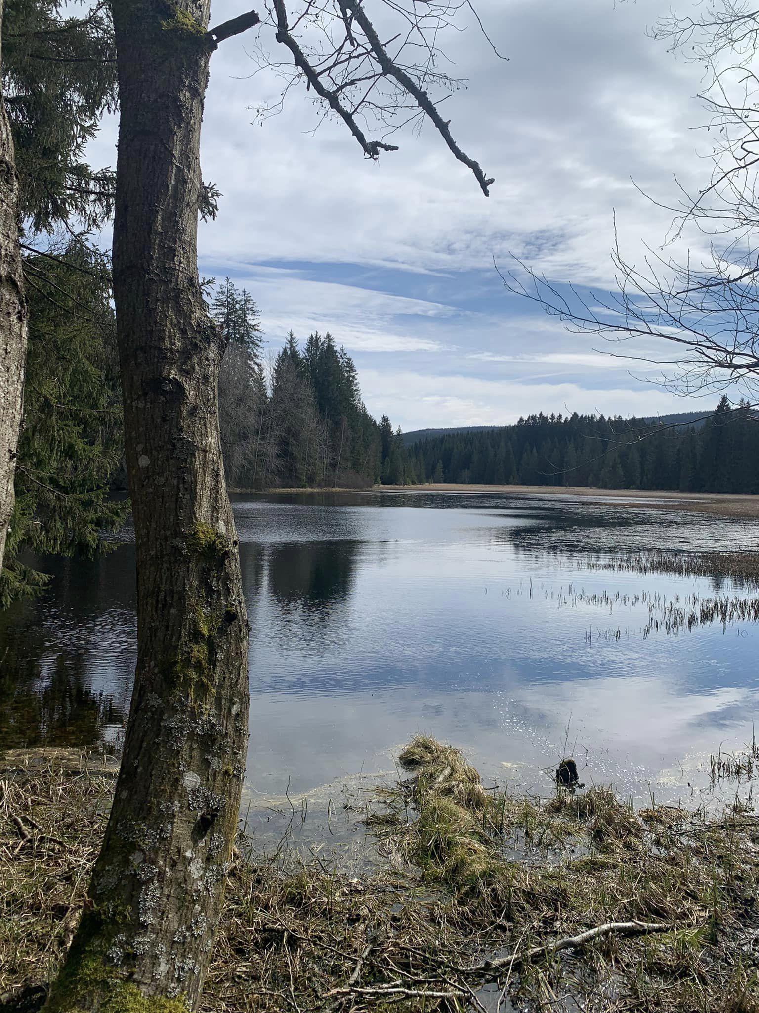 Penzion Baronův most foto 4