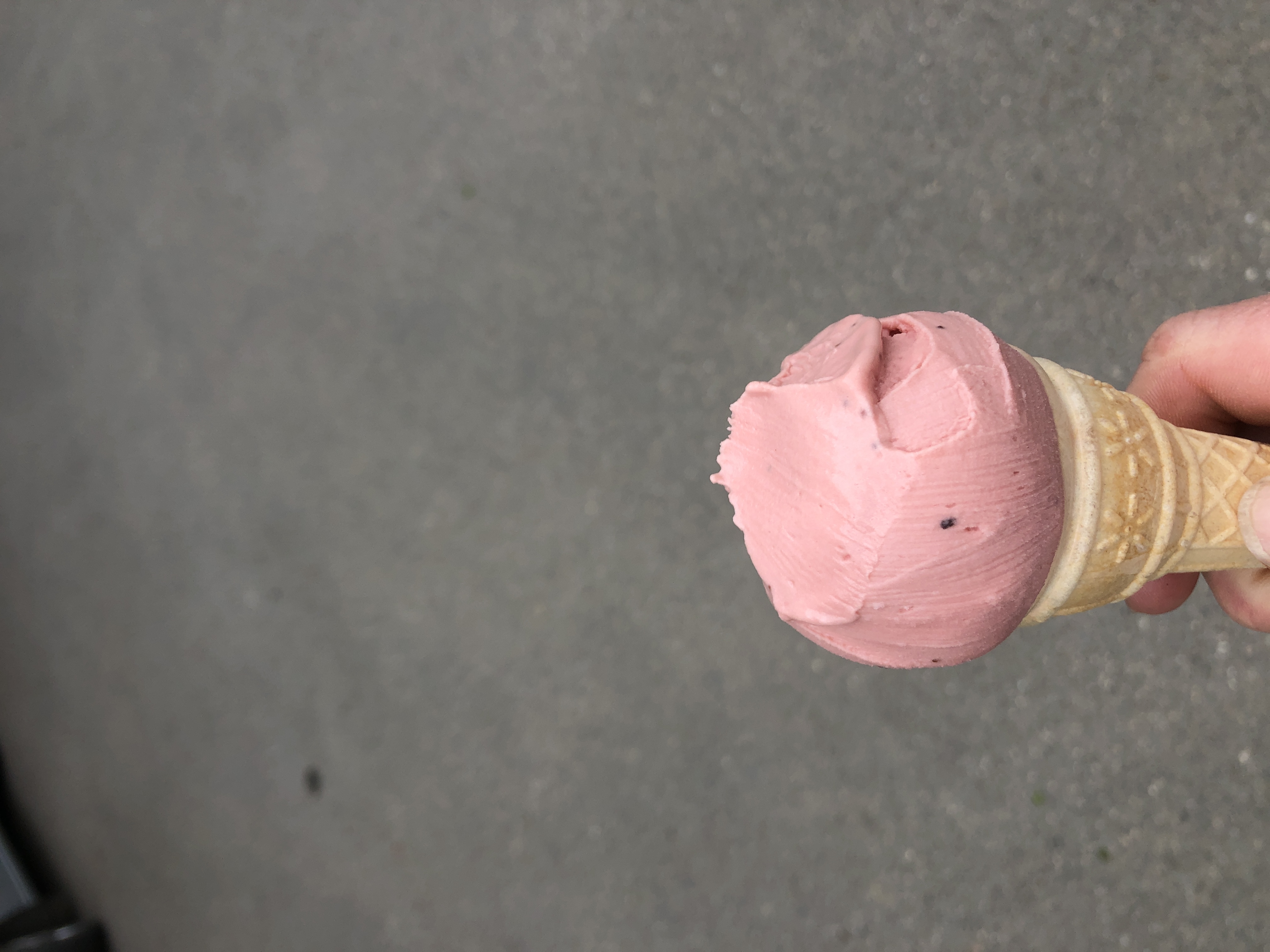 Kozí farma Vizovice foto 6