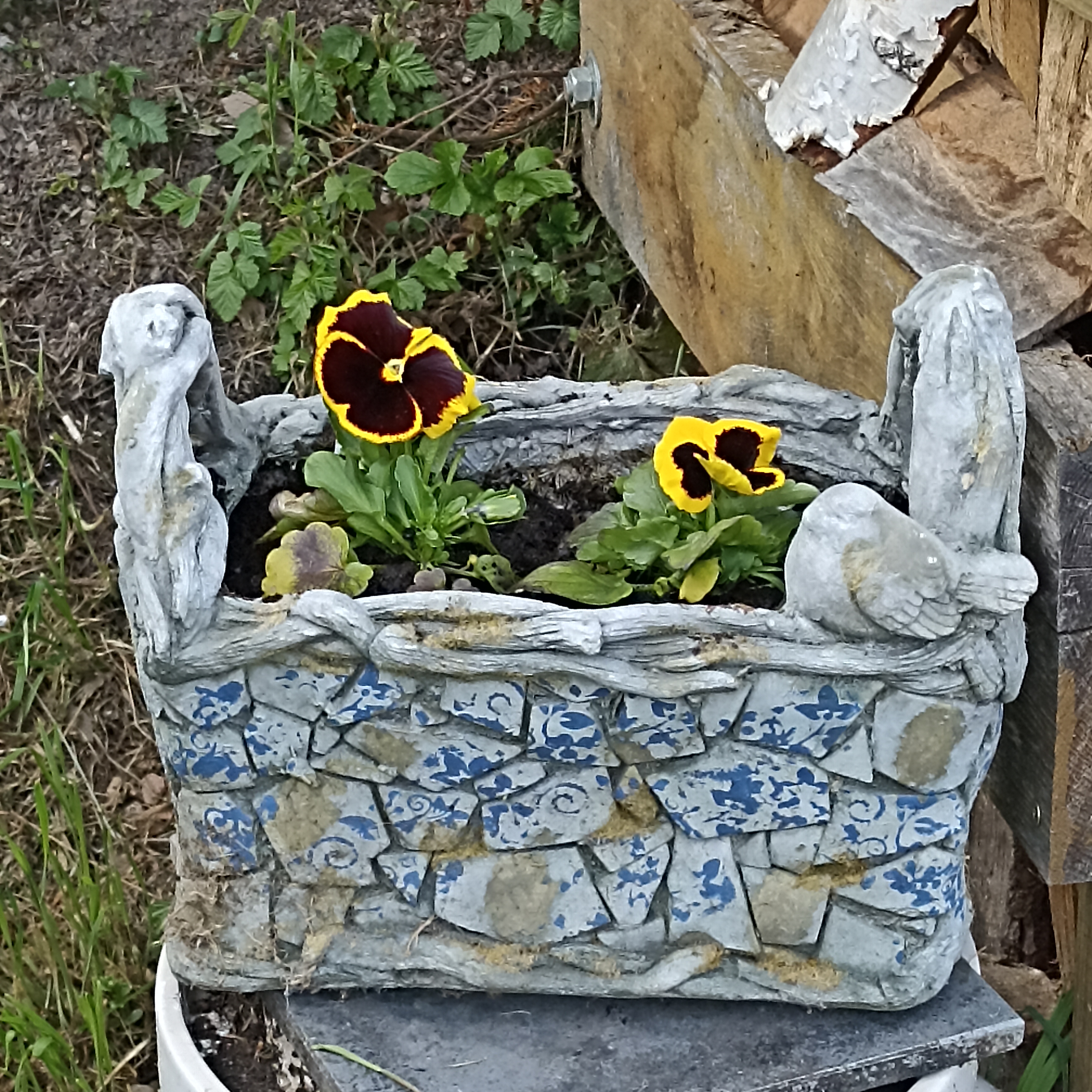 Zahradnictví u Níčů foto 4