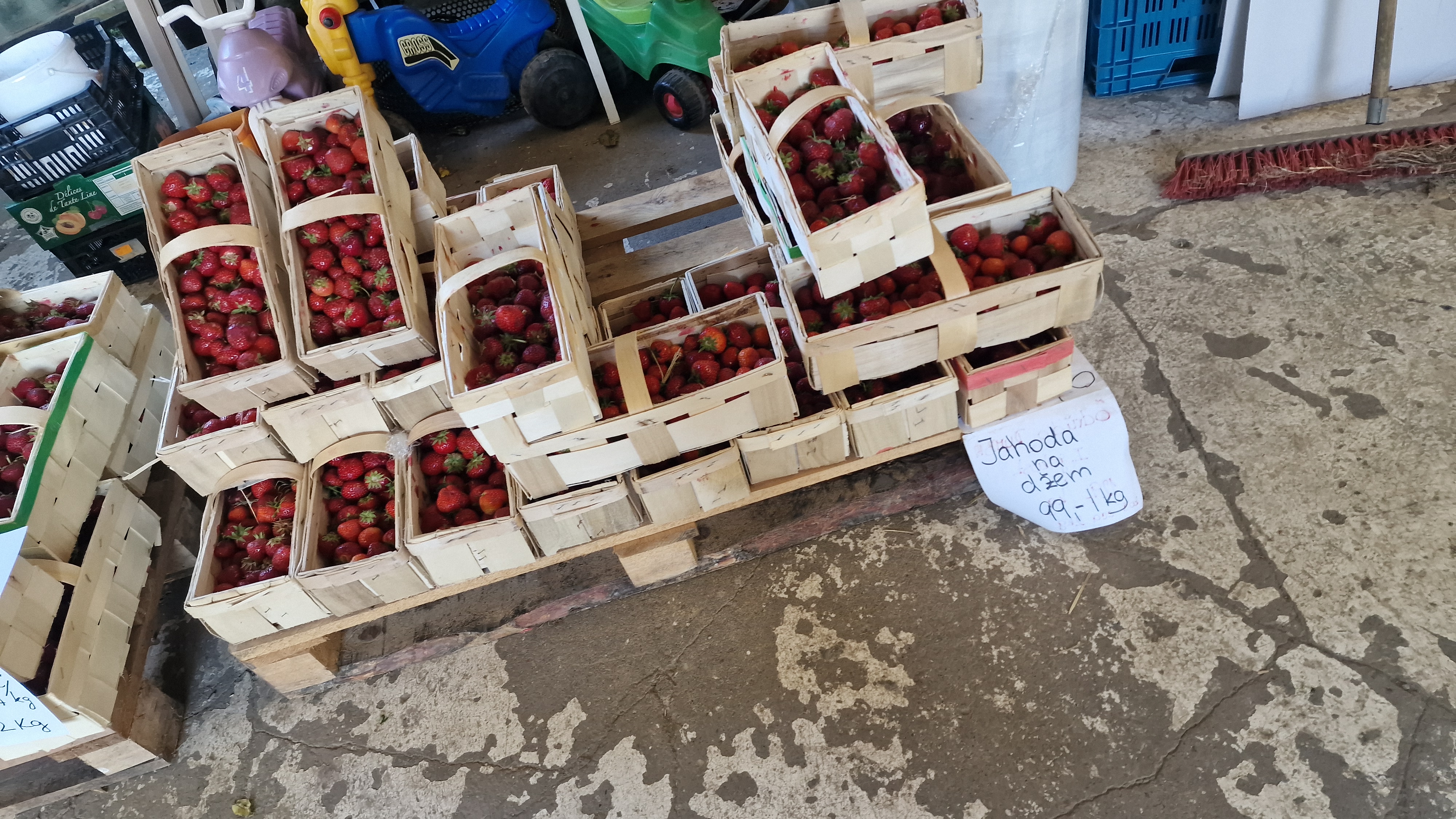 Jahodárna Sedlčánky foto 5