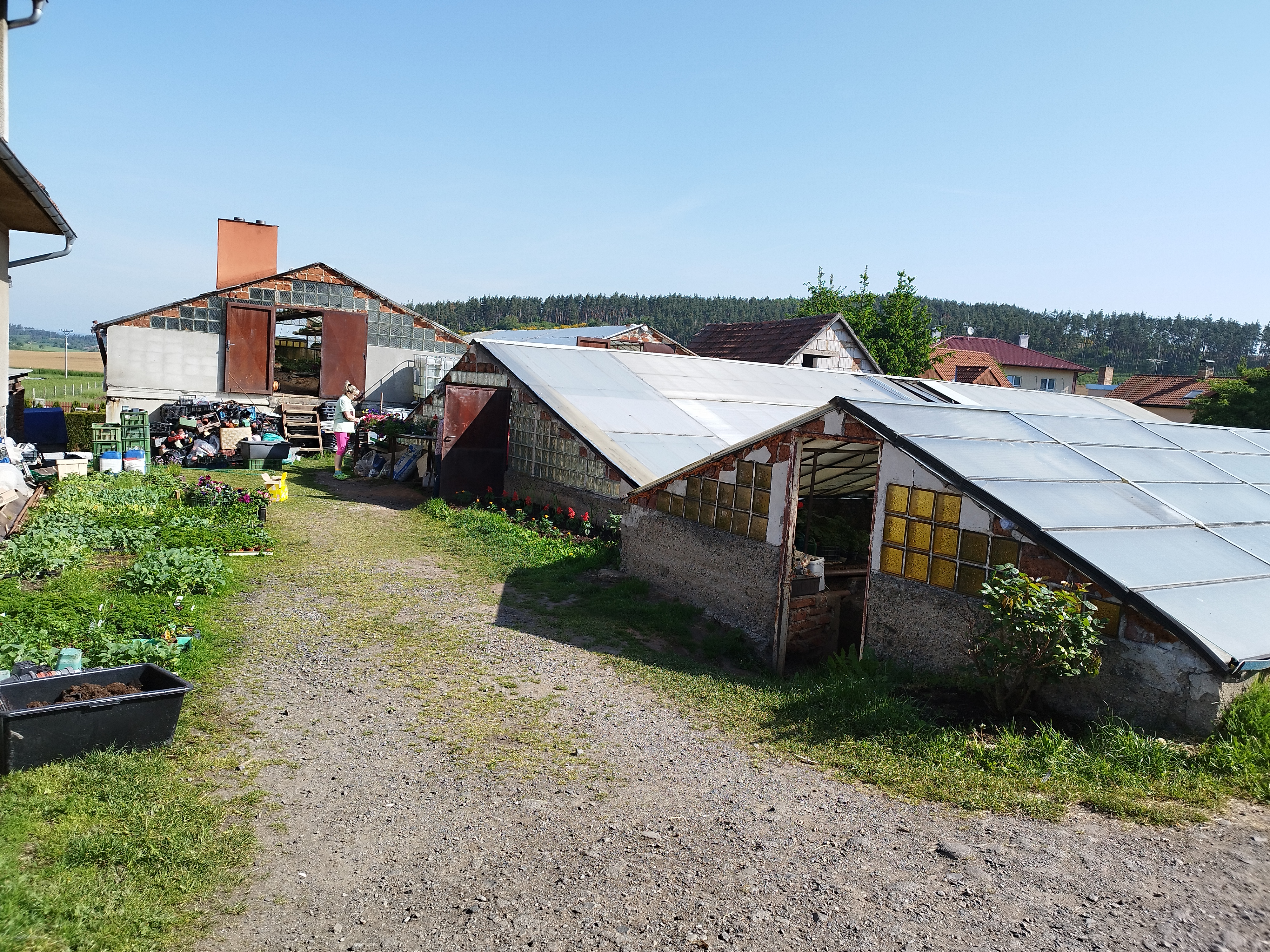 Zahradnictví Kabátovi foto 4