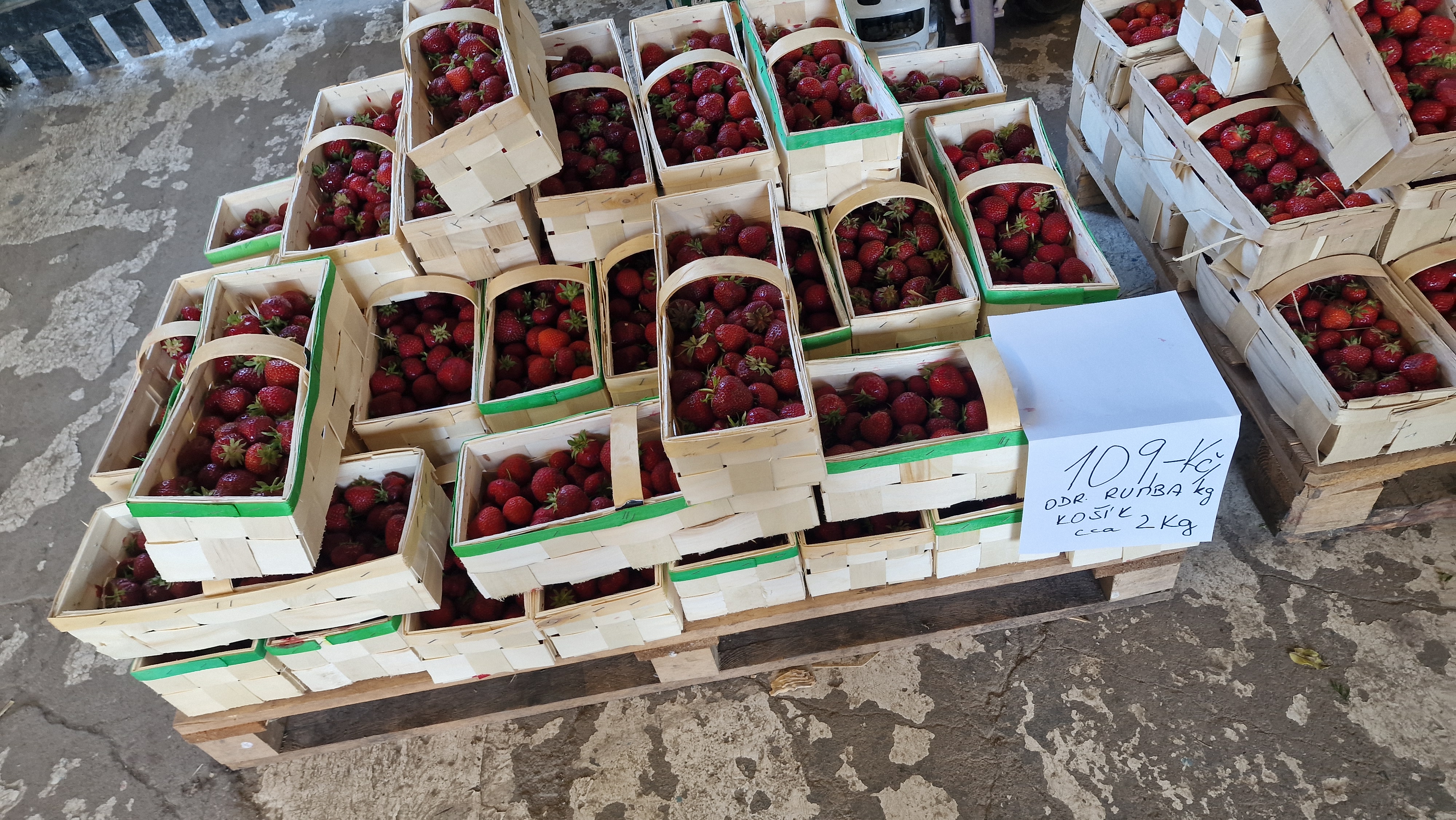 Jahodárna Sedlčánky foto 2