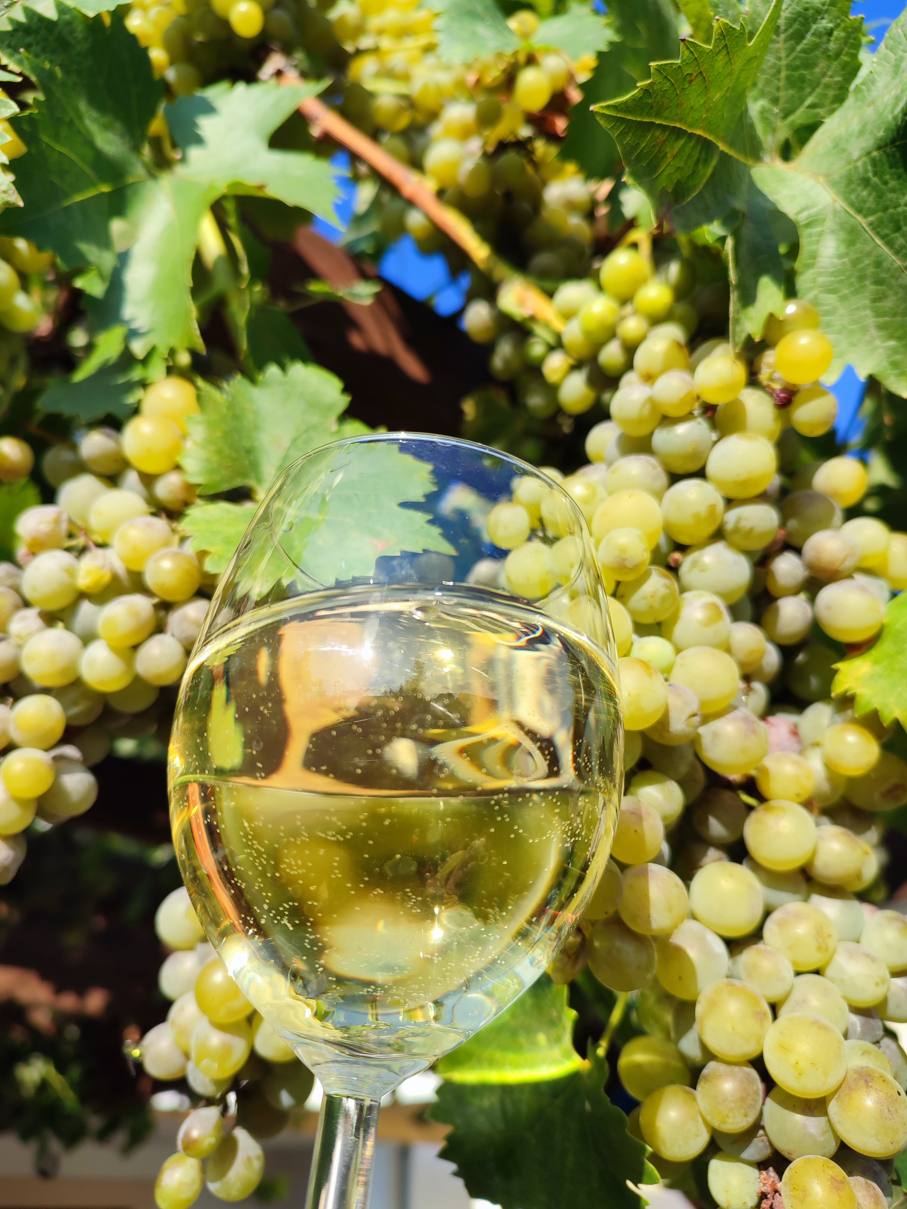 Pension Pěnčík foto 2