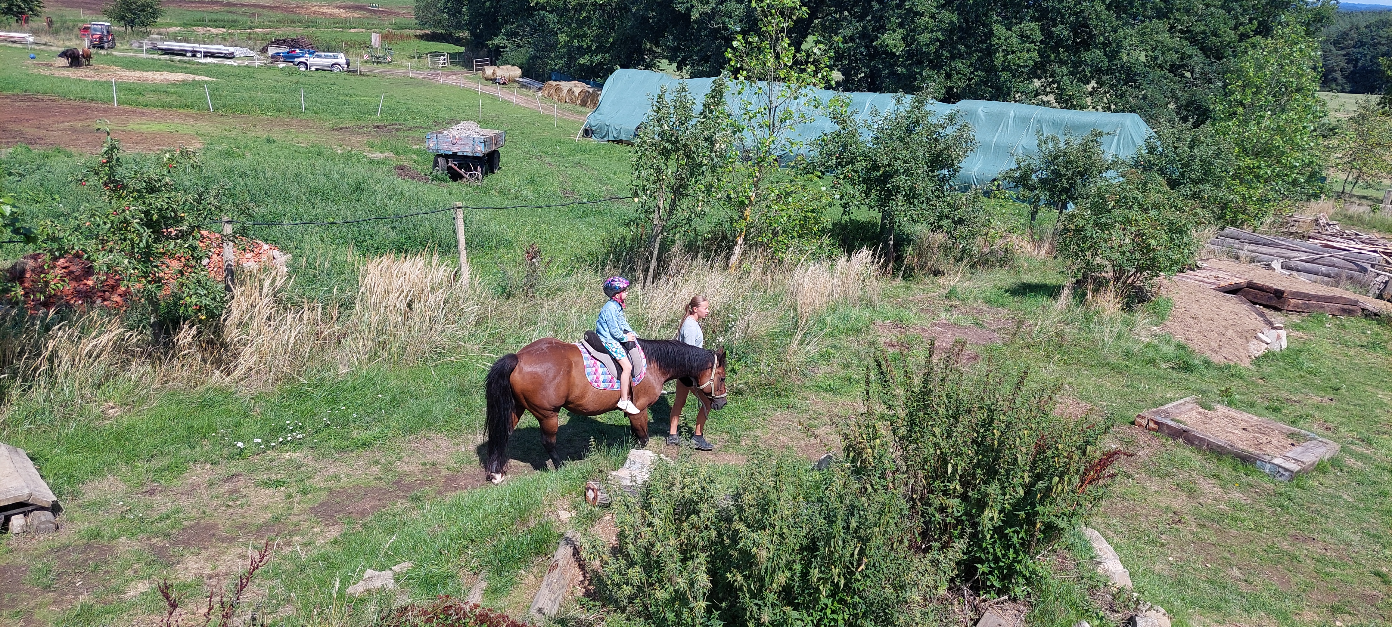 Hiporehabilitace Calamity Jane z.s. foto 6