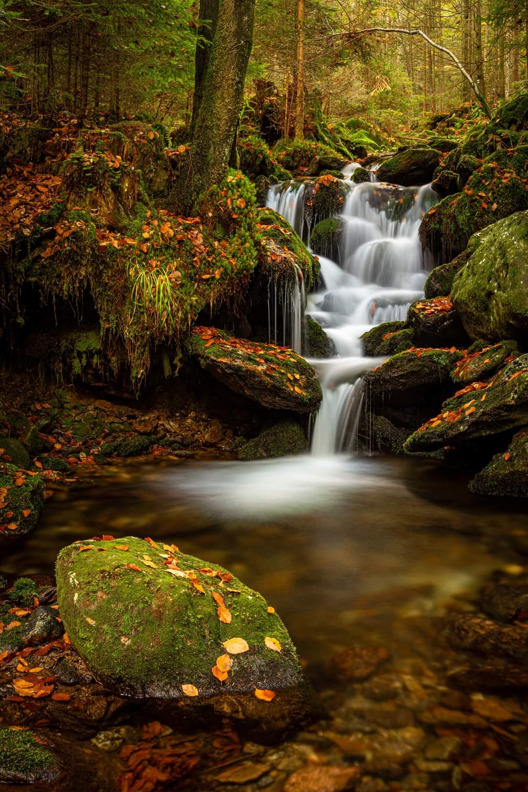 Ubytování Jaroslava Vácová foto 2