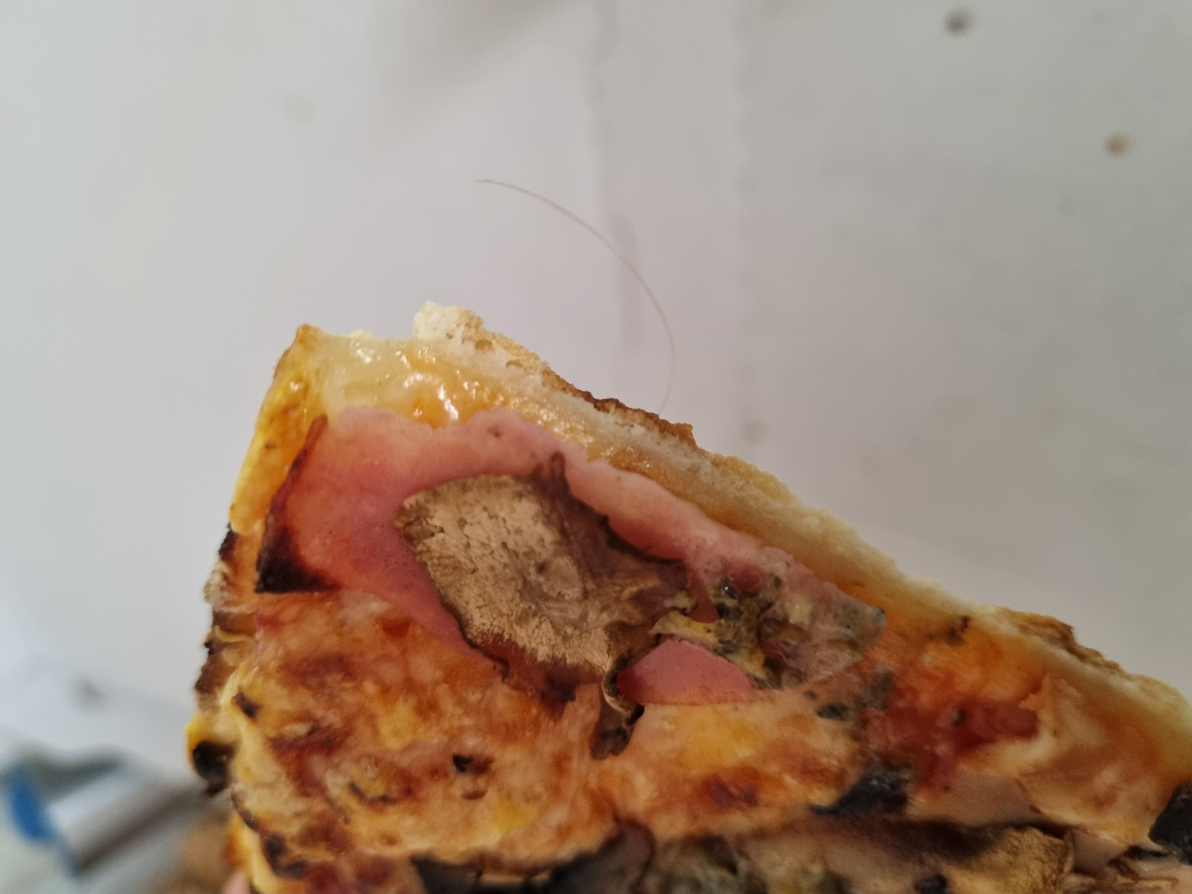 Pepinova pizza foto 3