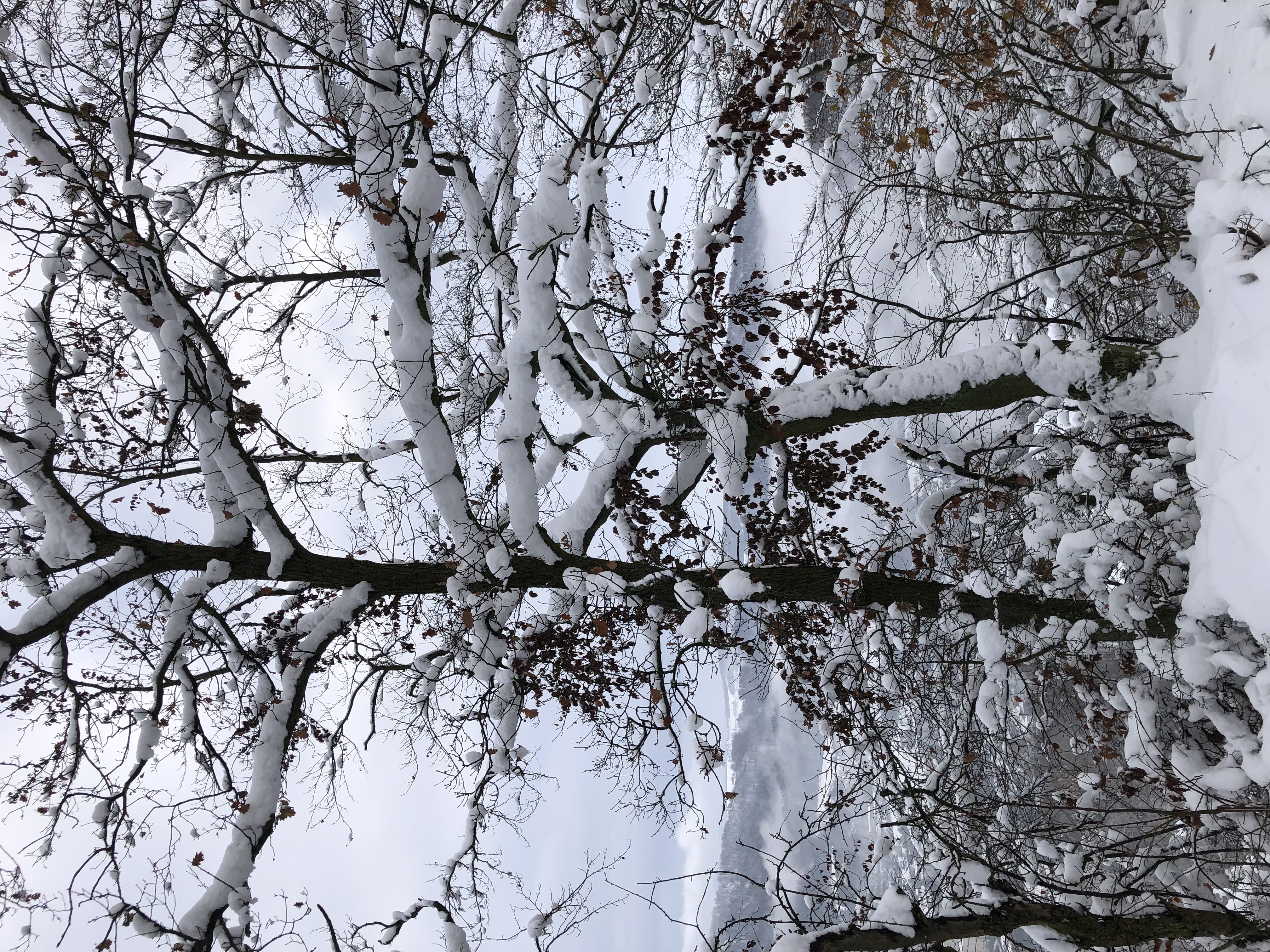 Chata Chlumík foto 5