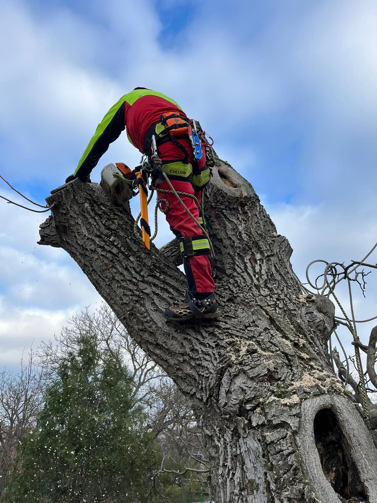 Arboeu, s.r.o. foto 2
