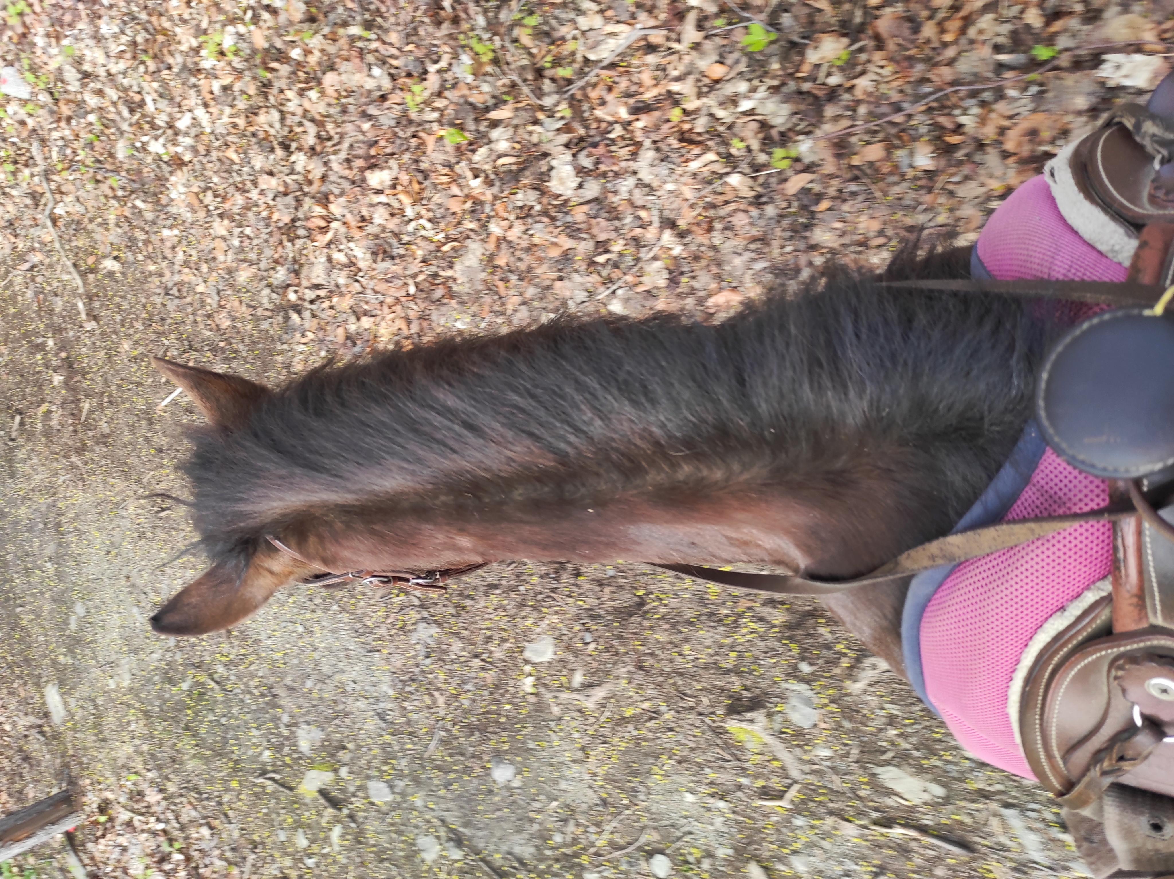 Eko Farma Karlovice foto 6