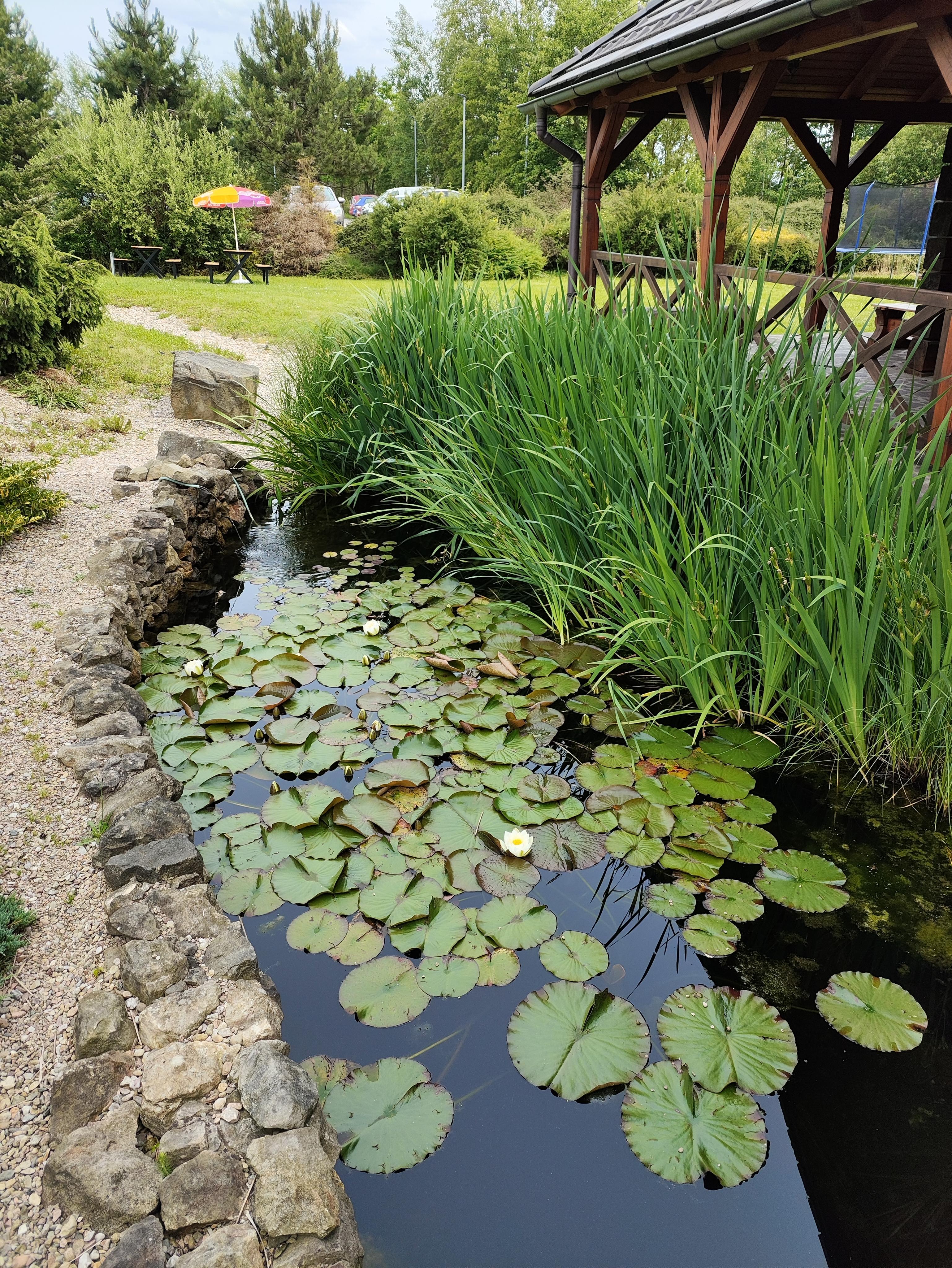 Motel Roubenka foto 5