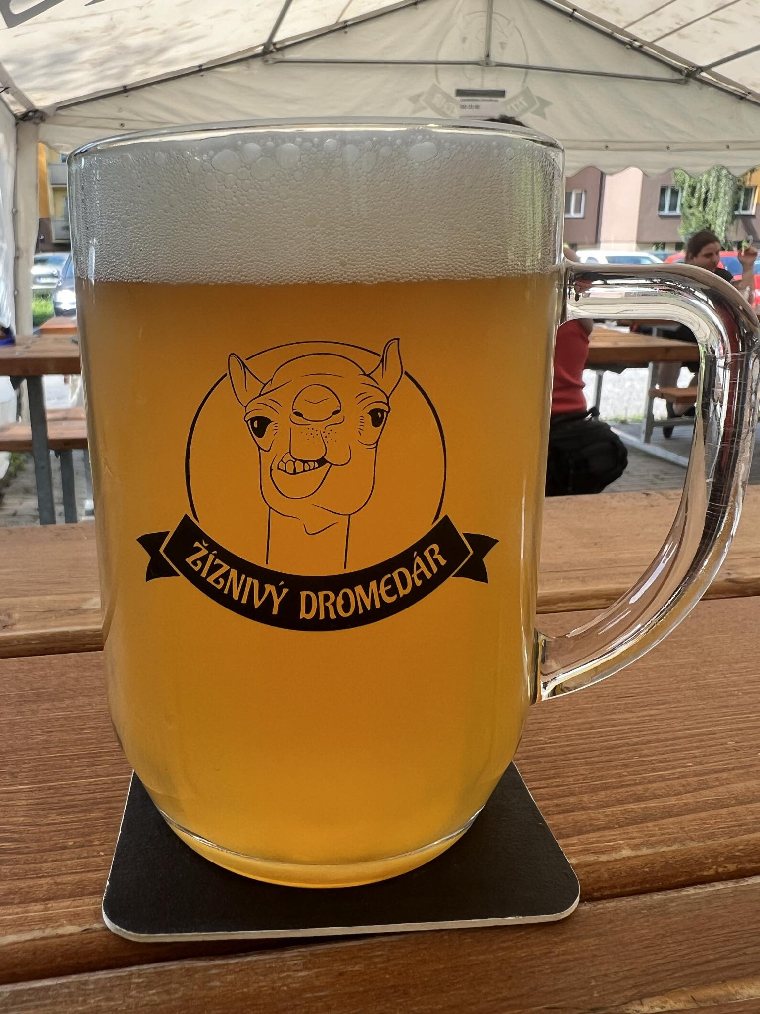 Žíznivý dromedár - minipivovar a restaurace foto 4