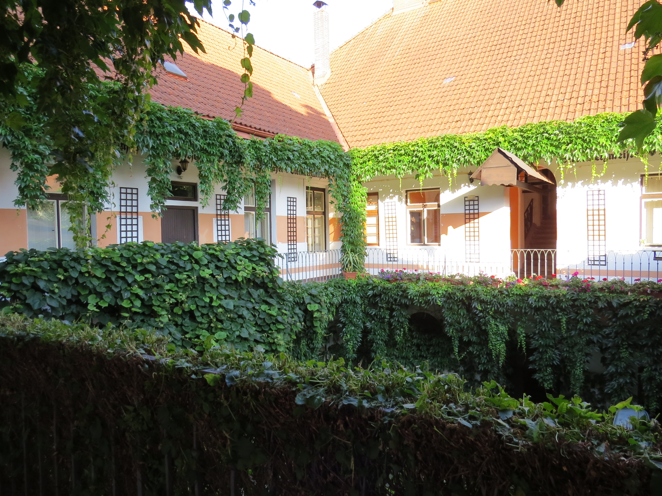 Pension Wunsch foto 4