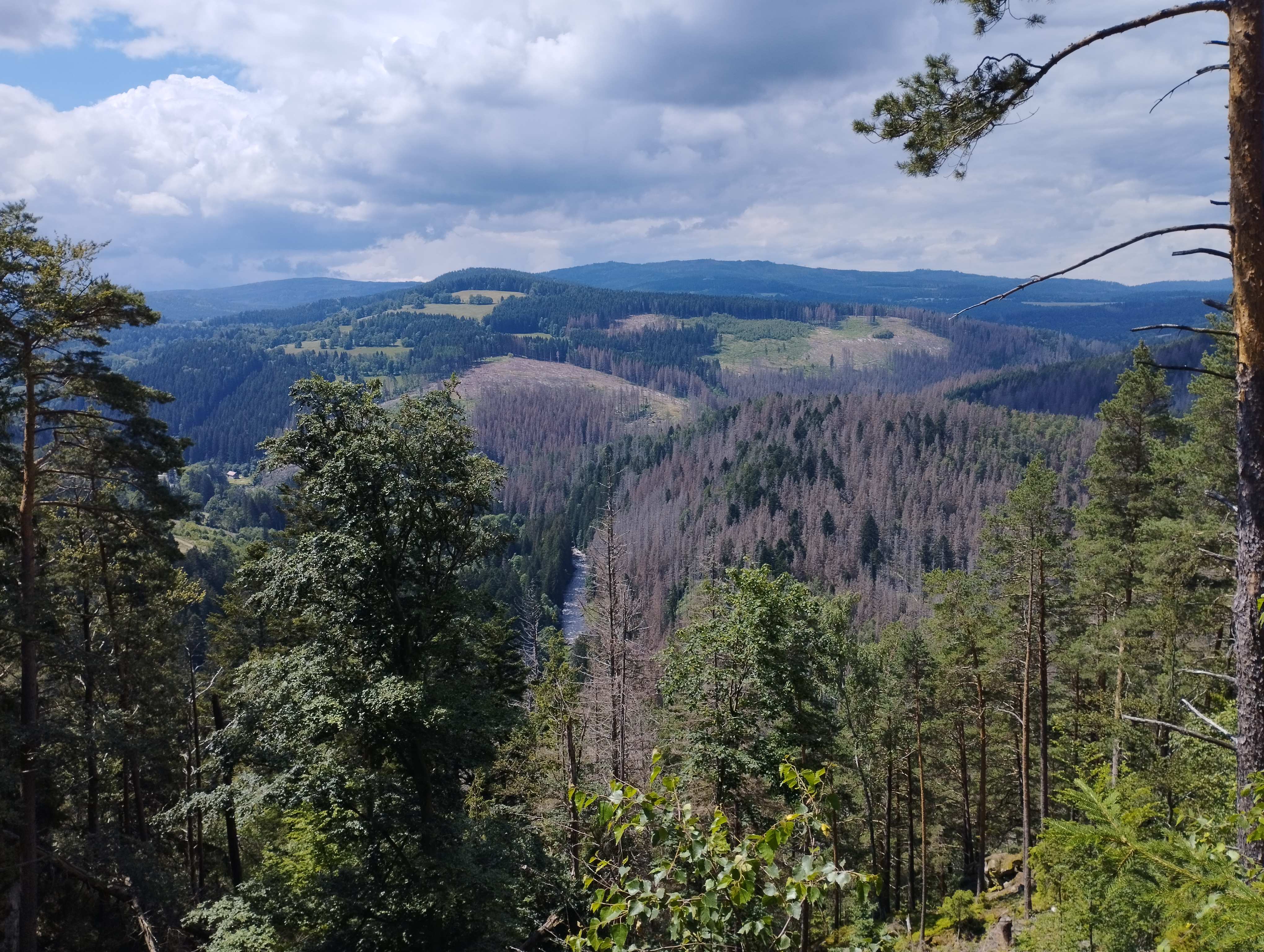 Ubytování Žabka foto 6