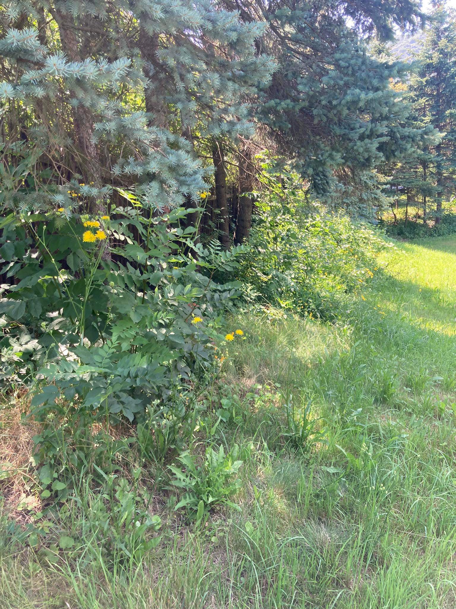 Stavební práce od A do Z Marie Janová foto 6