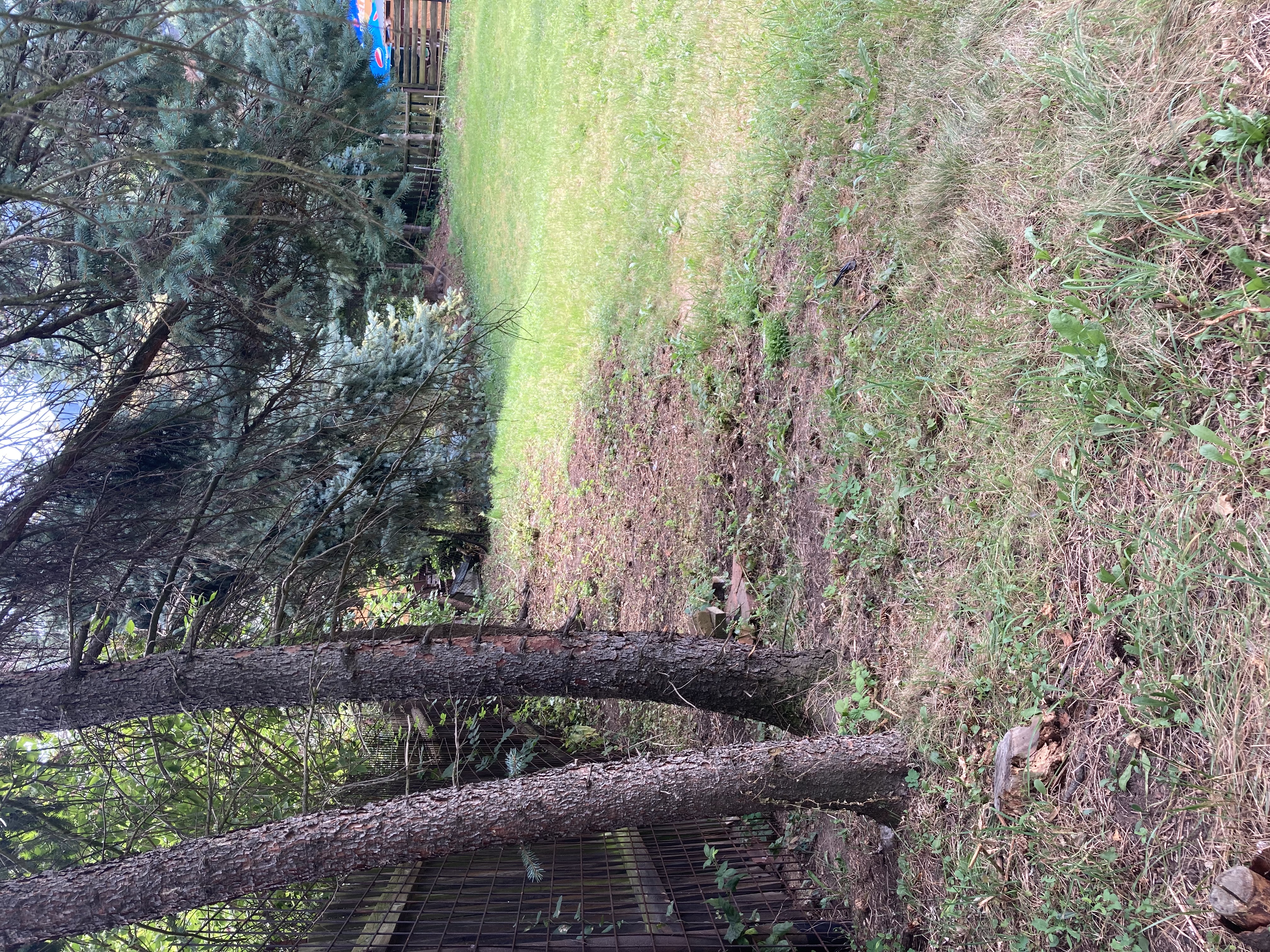 Stavební práce od A do Z Marie Janová foto 5