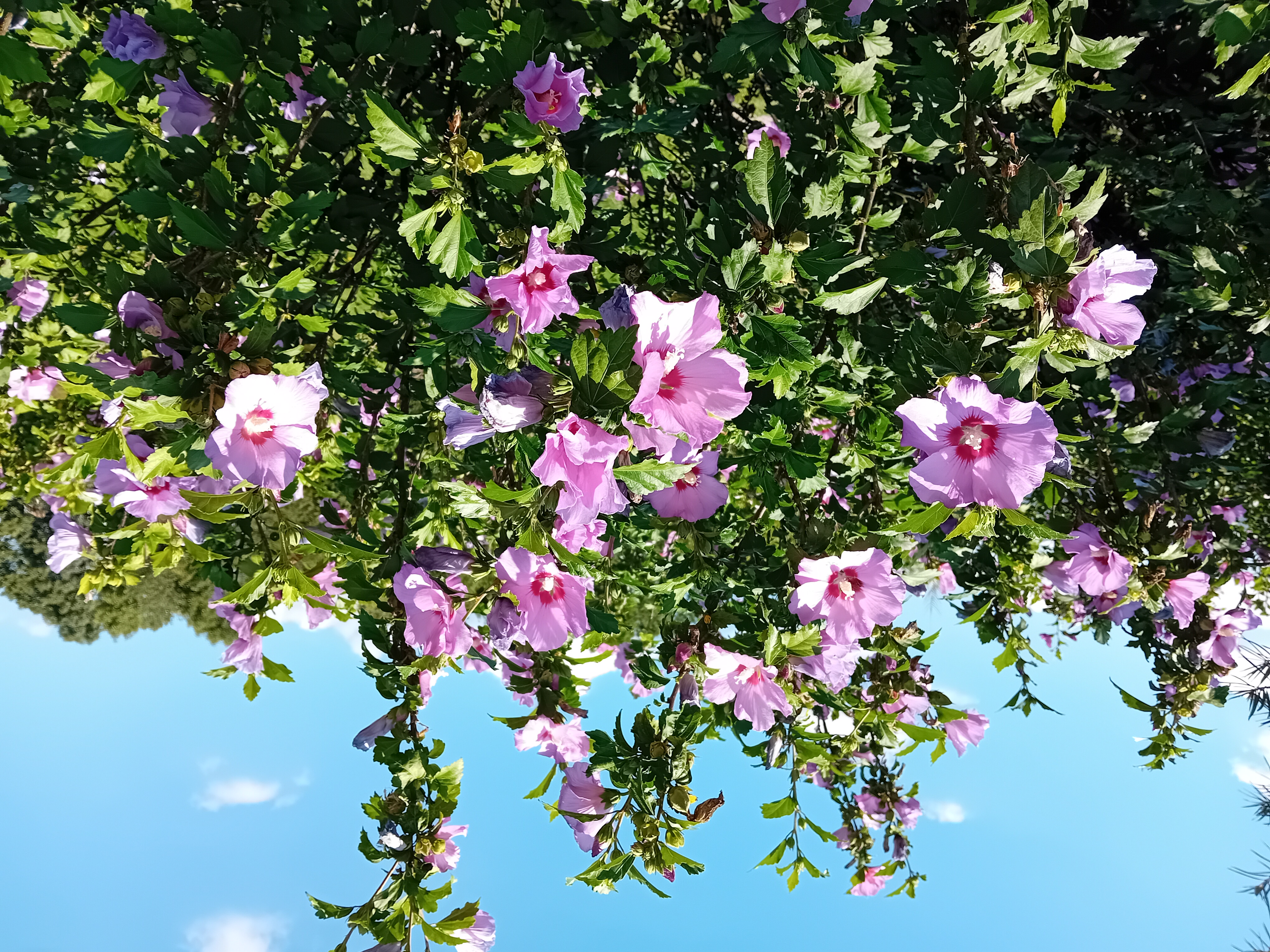 MUDr. Tomáš Ptoszek foto 2