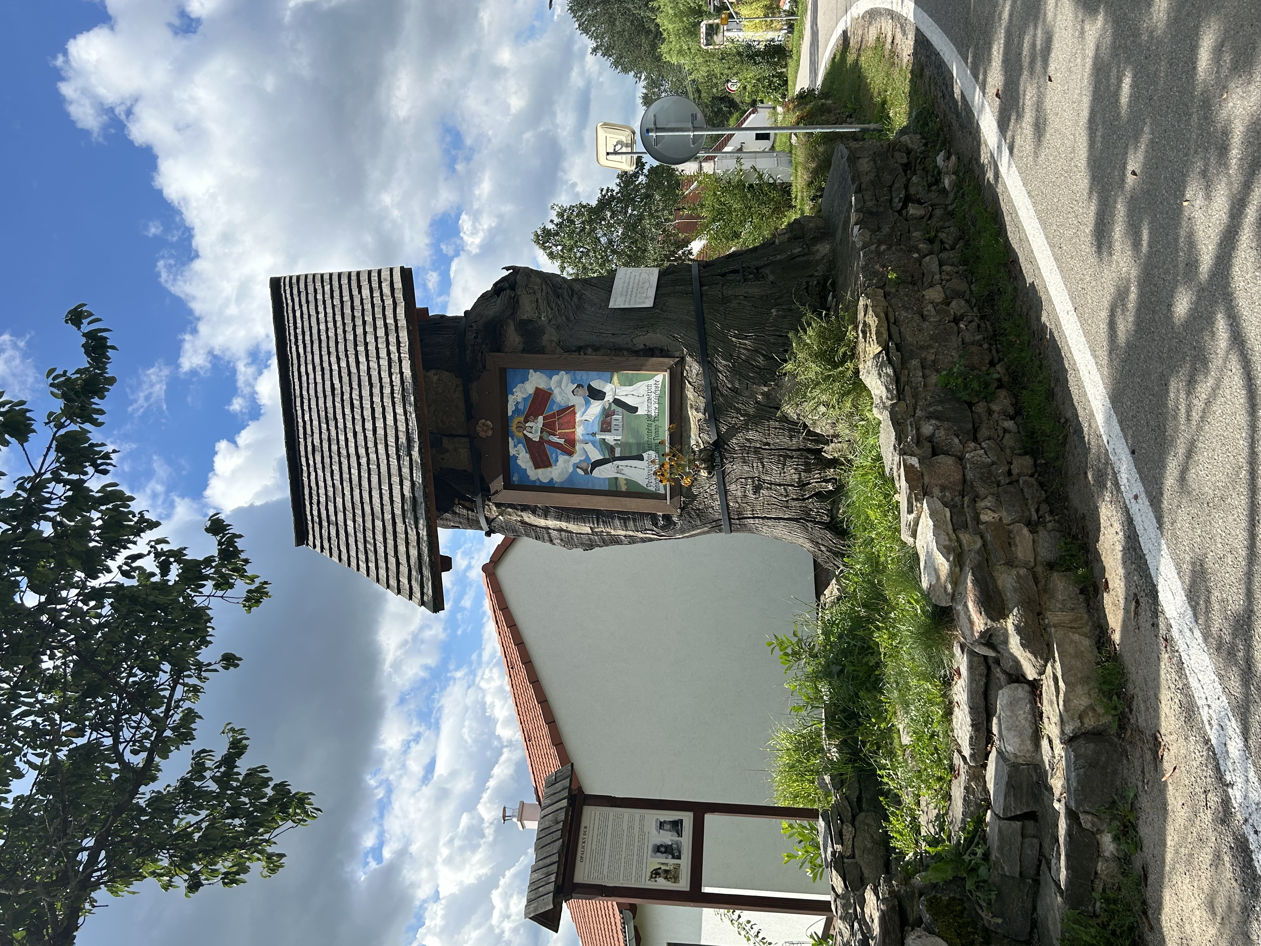 Nemocnice České Budějovice, a.s. foto 4