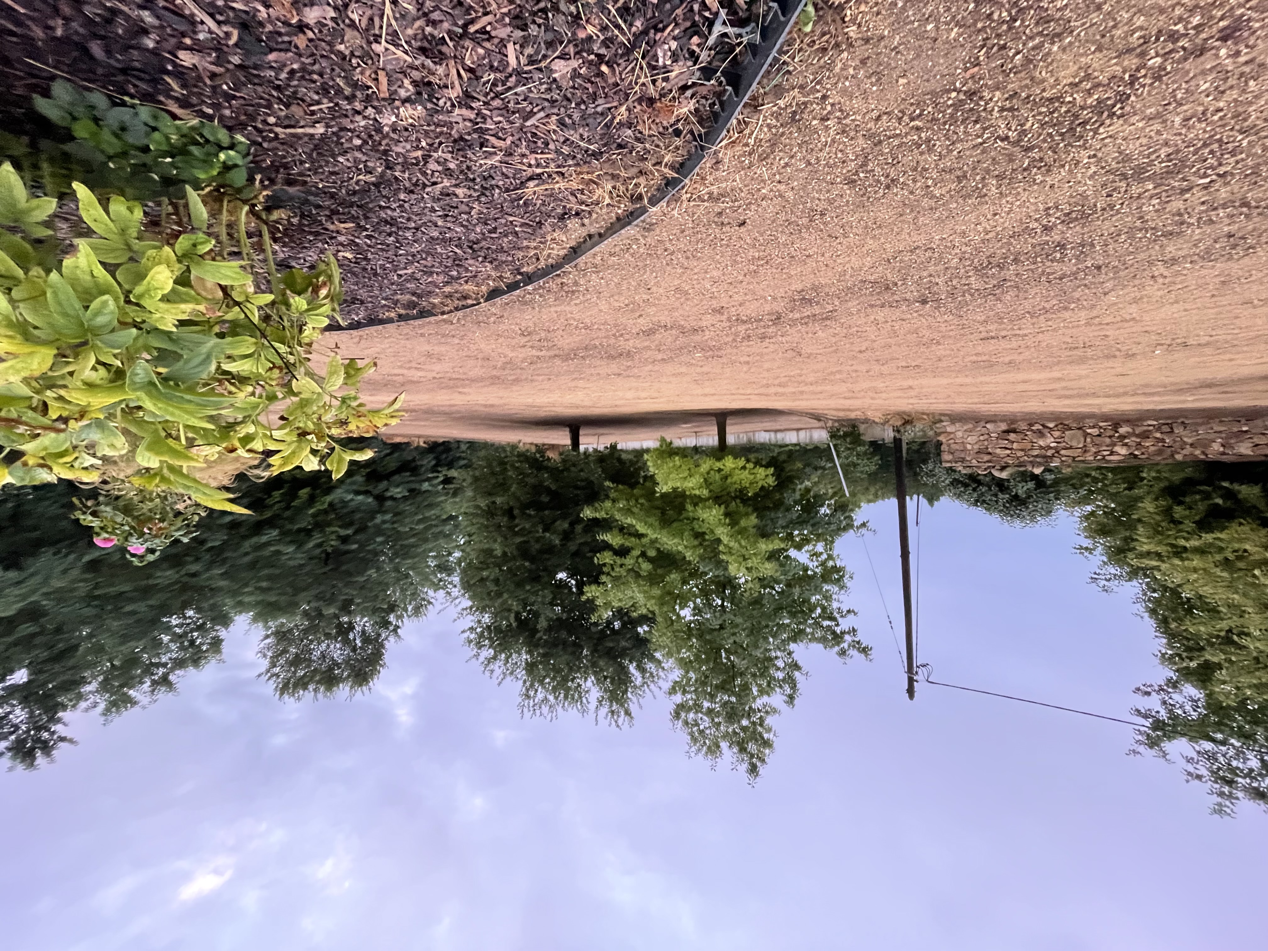 Trávníková péče Martin Náplava foto 3