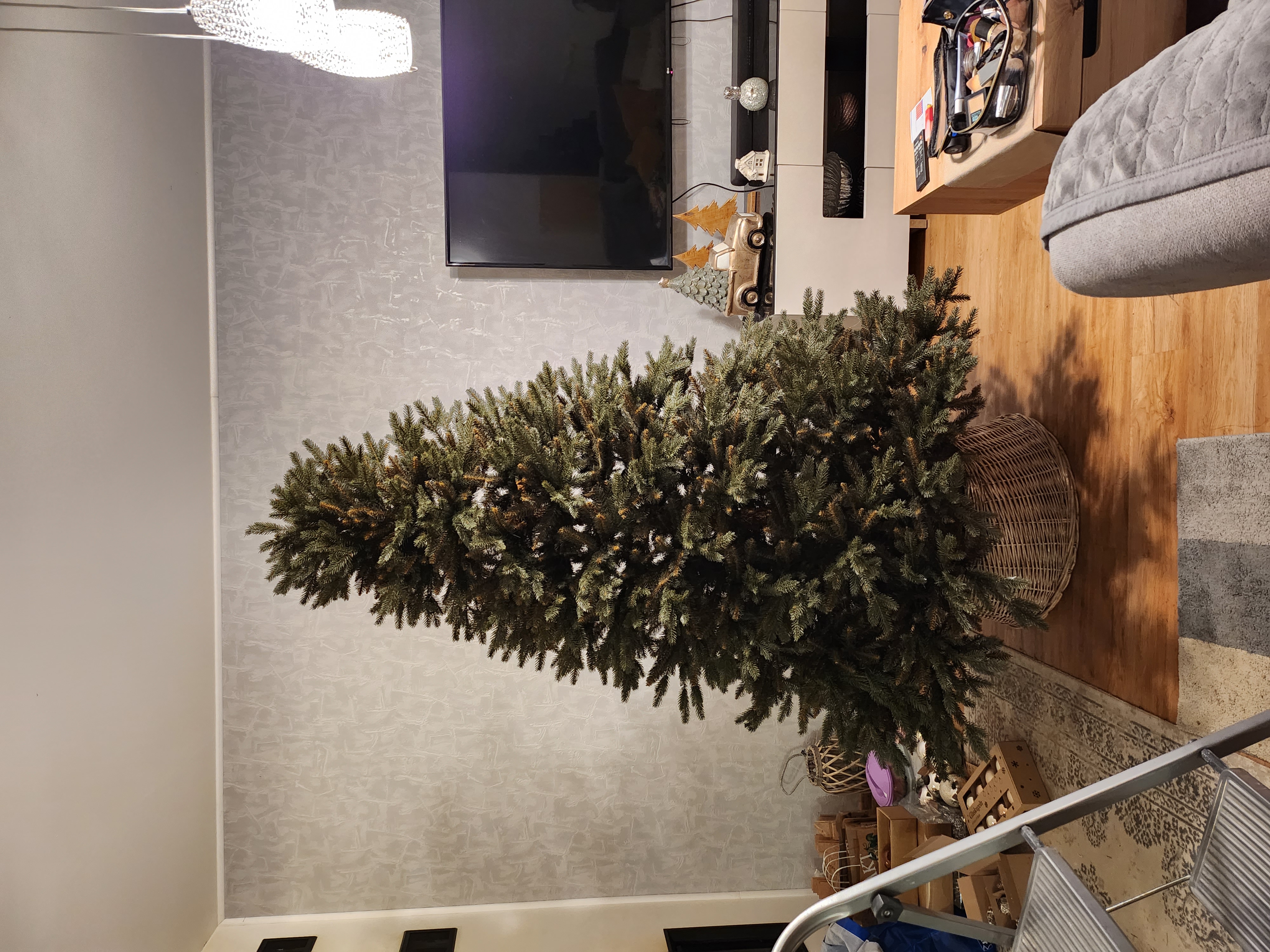 3d-vanocnistromky.cz foto 2