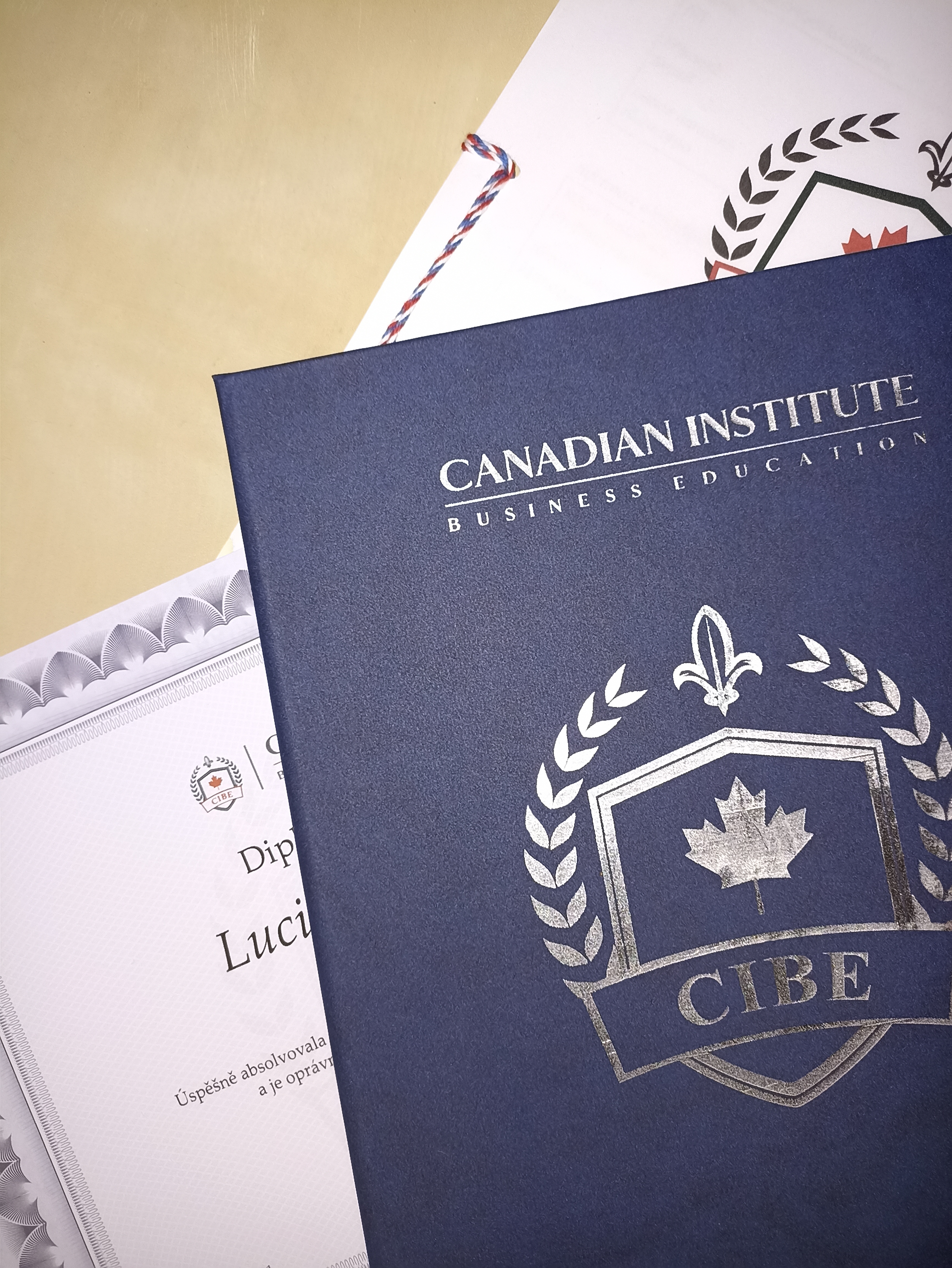 Canadian Institute EDU s.r.o. foto 2