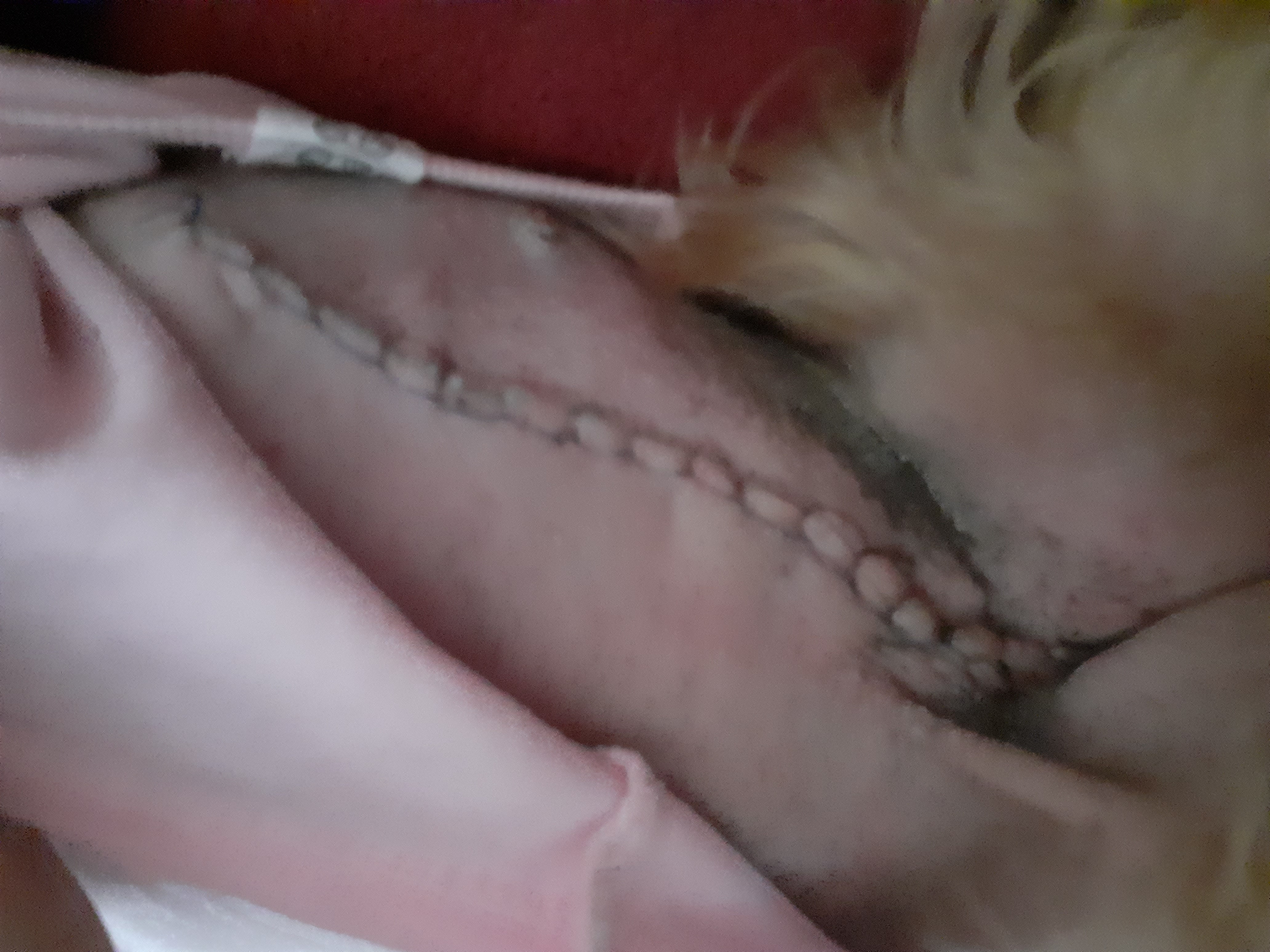 Veterinární ordinace TOSA foto 3