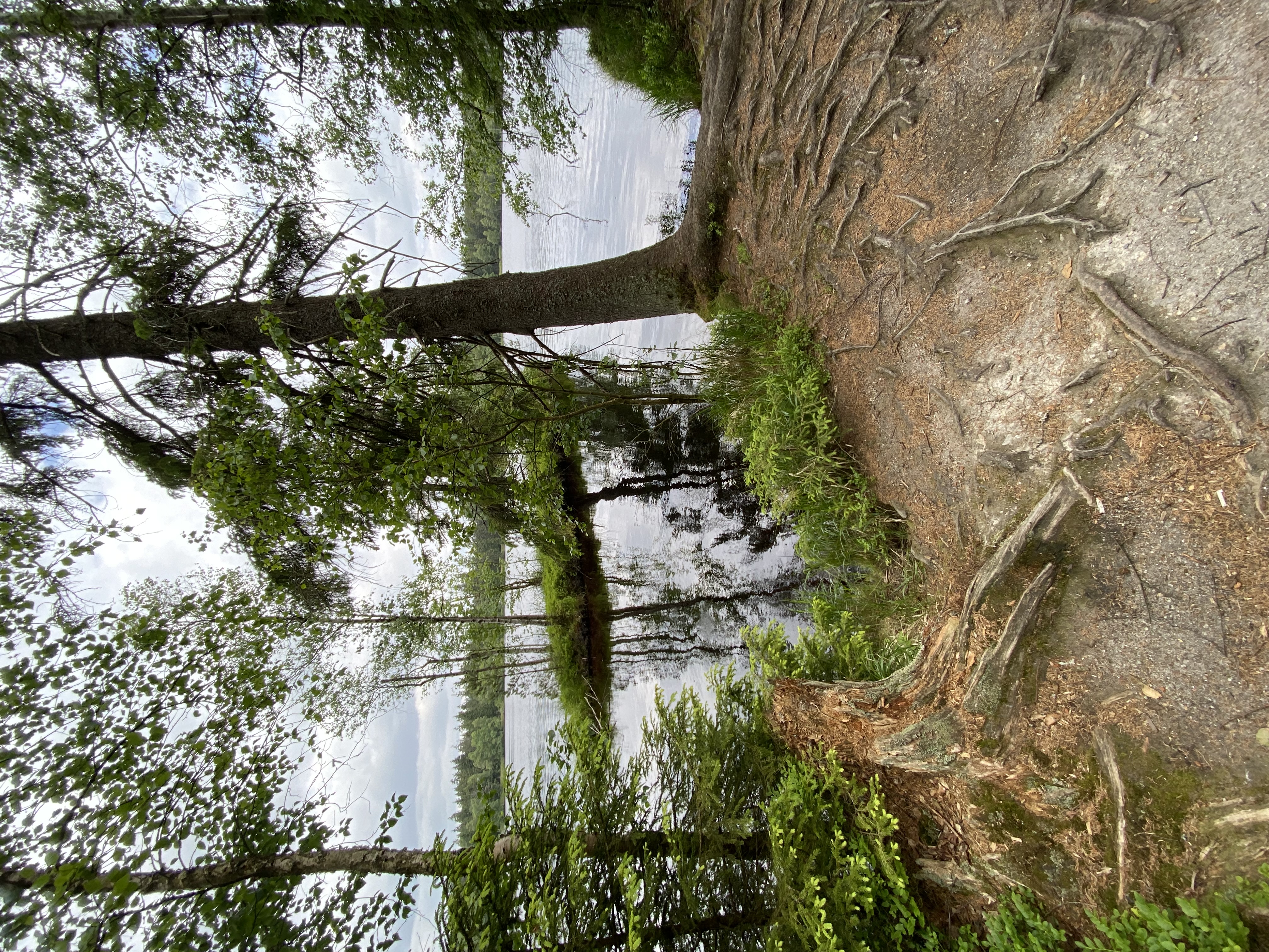 Ubytování v soukromí Na Zelené foto 5