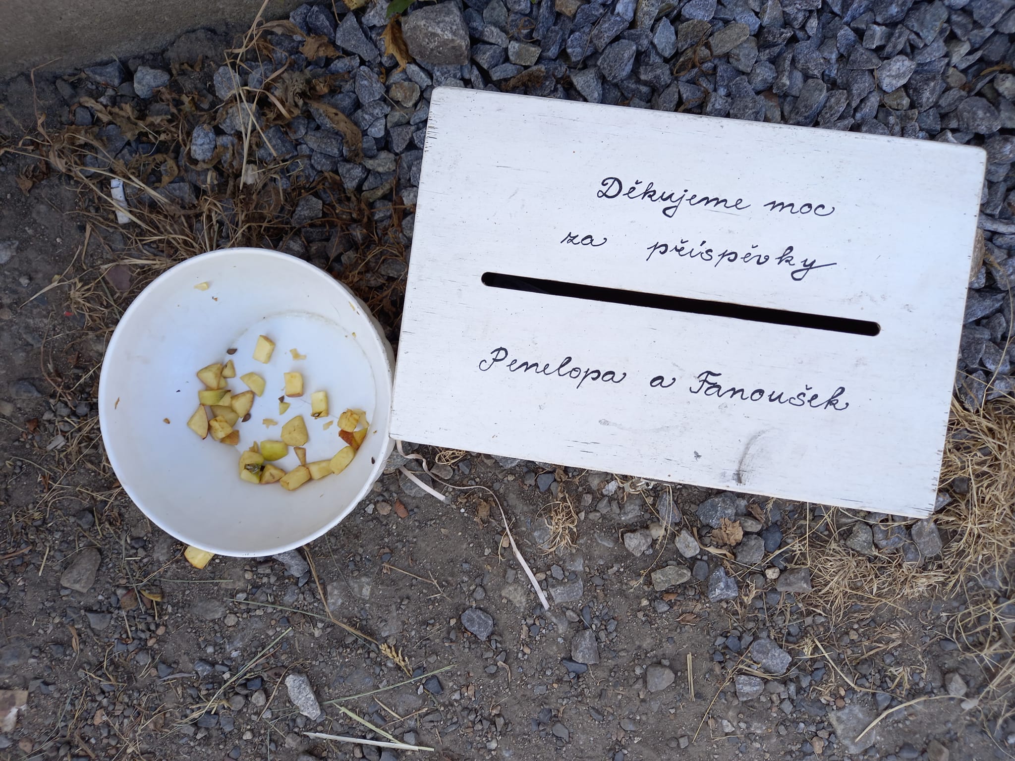 Zmrzlina a Bistro u Fandy foto 4